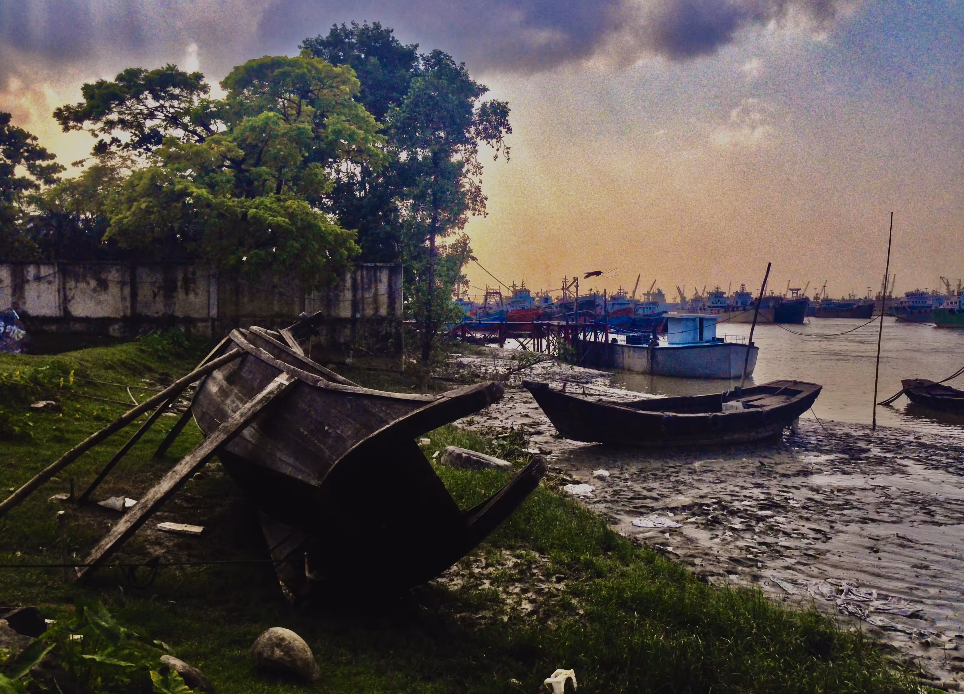 Twilight of Life II