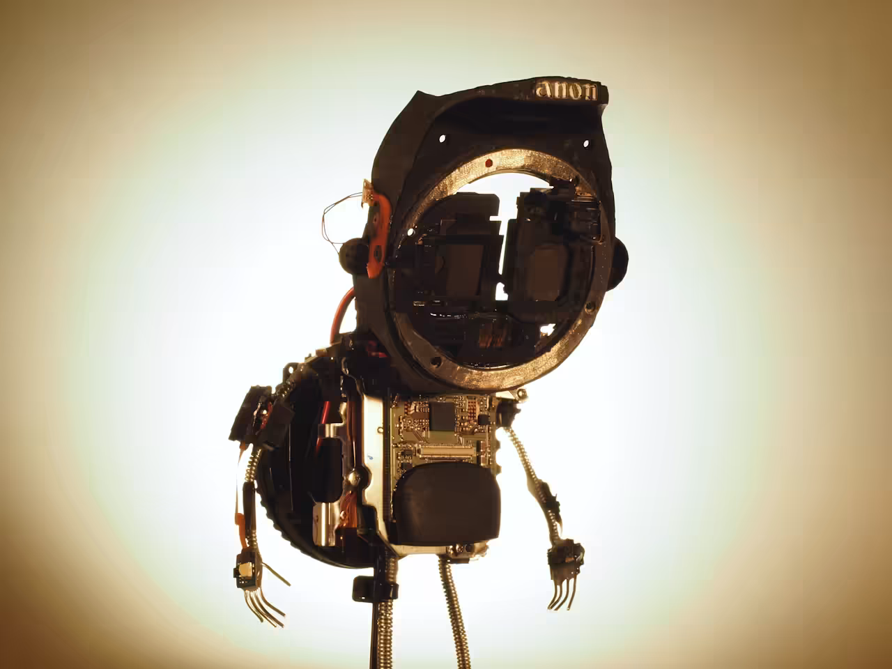 ANON - ROBOT #001