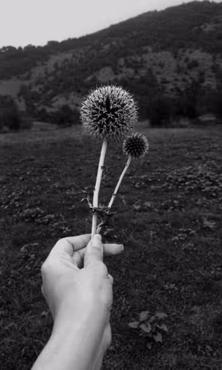 The Story #8