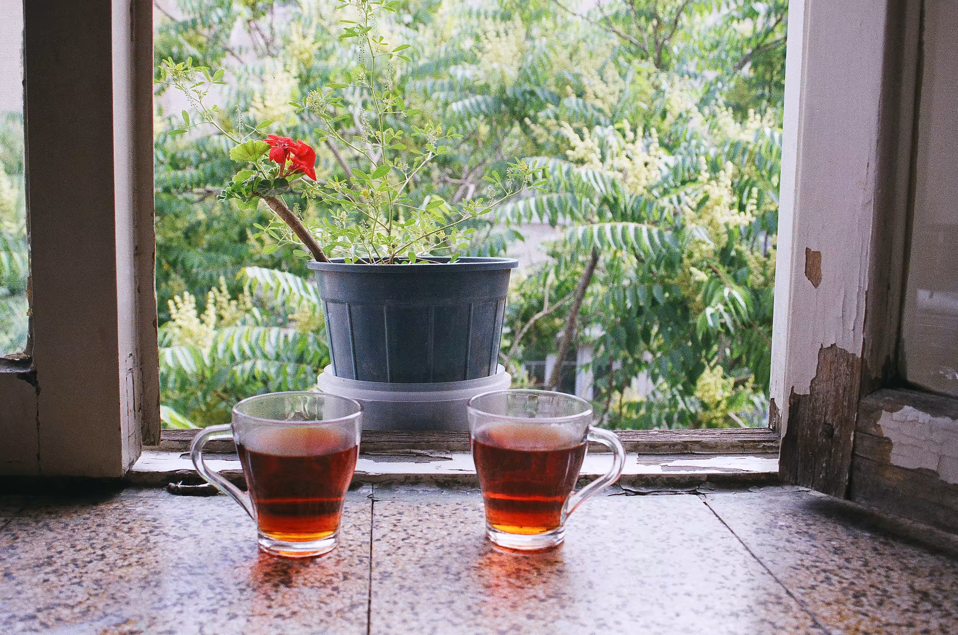 Tea For Two
