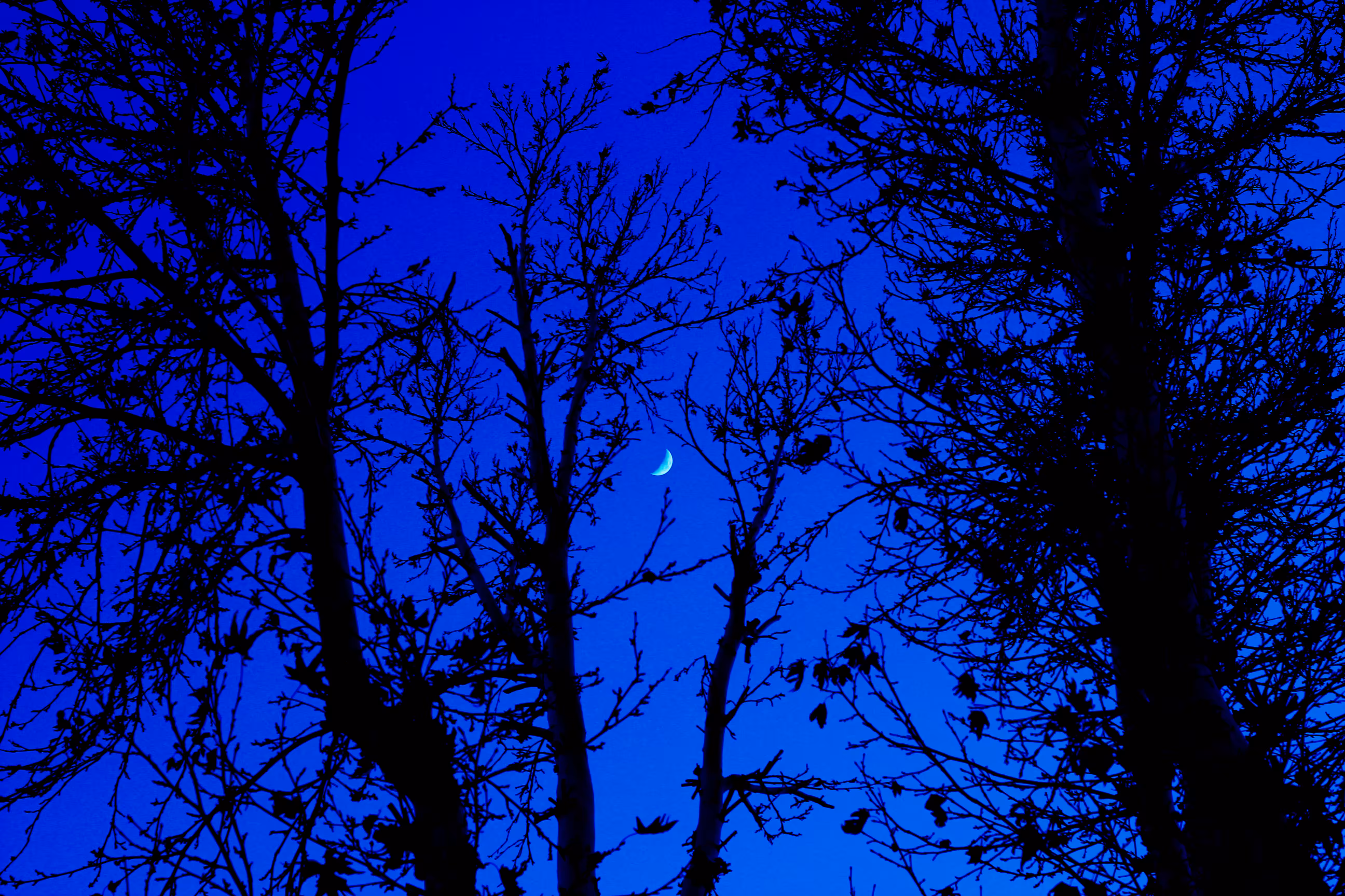  Blue Crescent