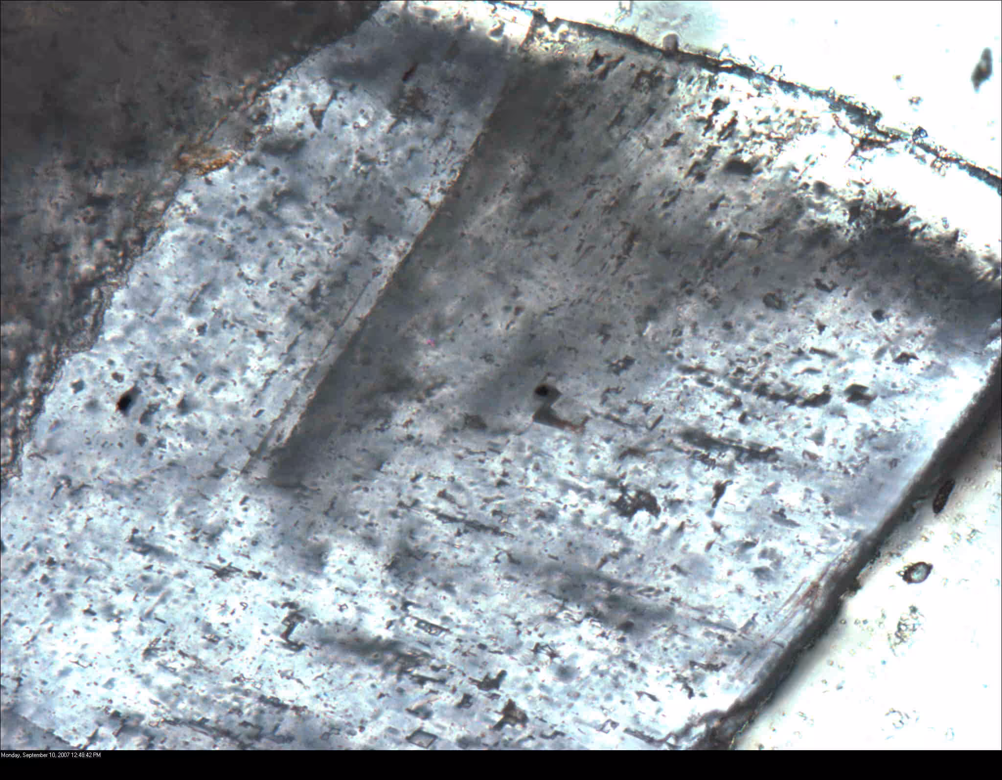 IoM 46D FI with black vapor bubble at 40x in dol euhedral vug fill