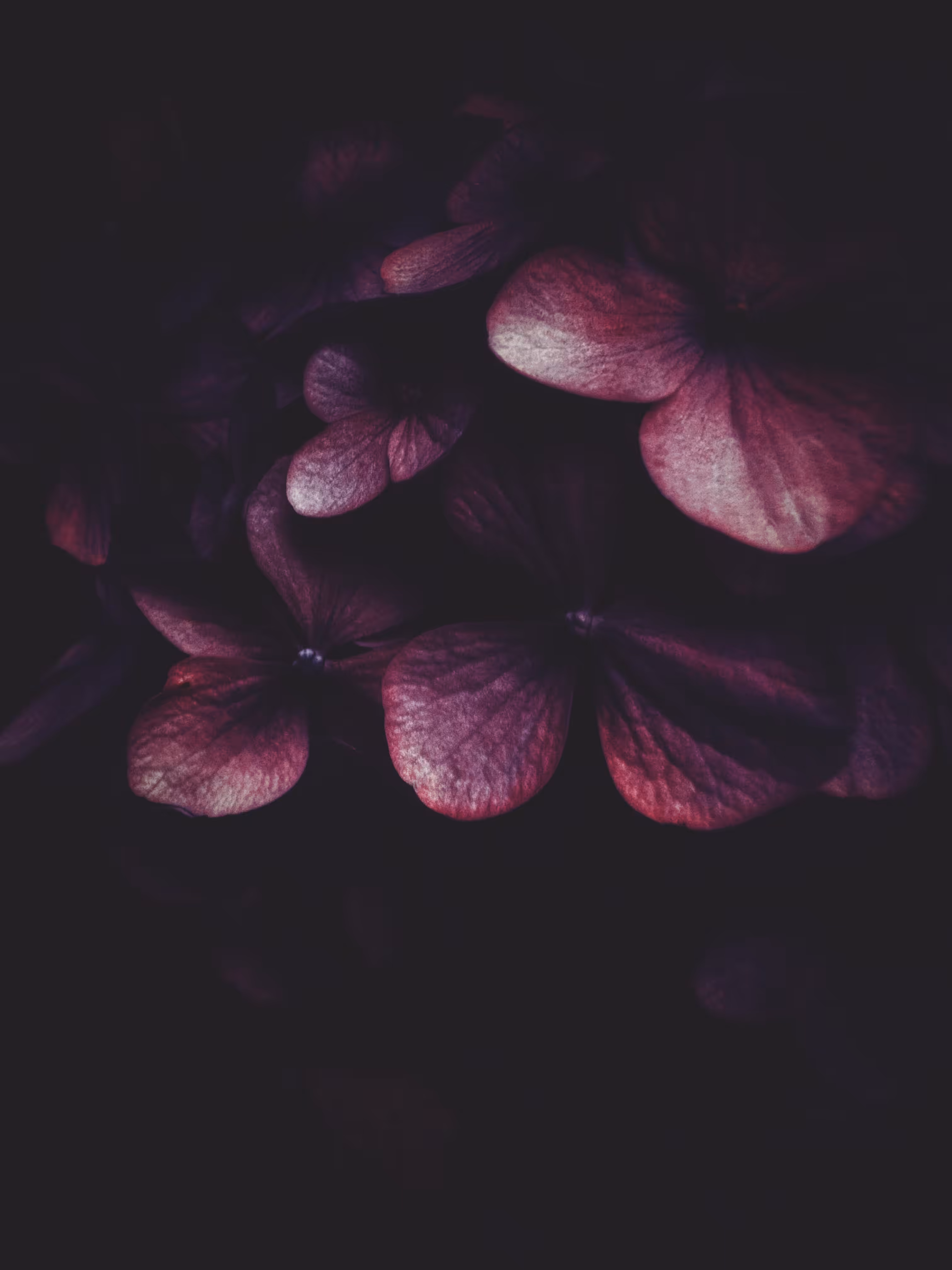 Dark Temptation 