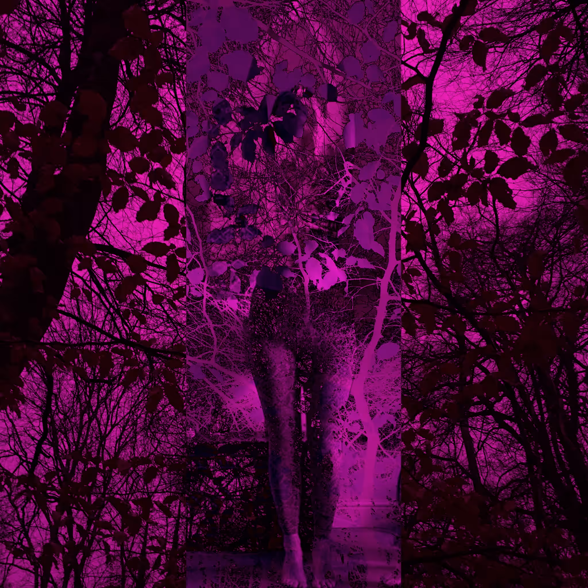 Dark Forest #10