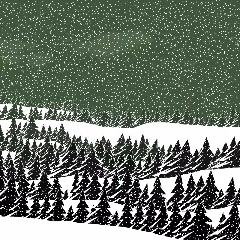 Winterland #235