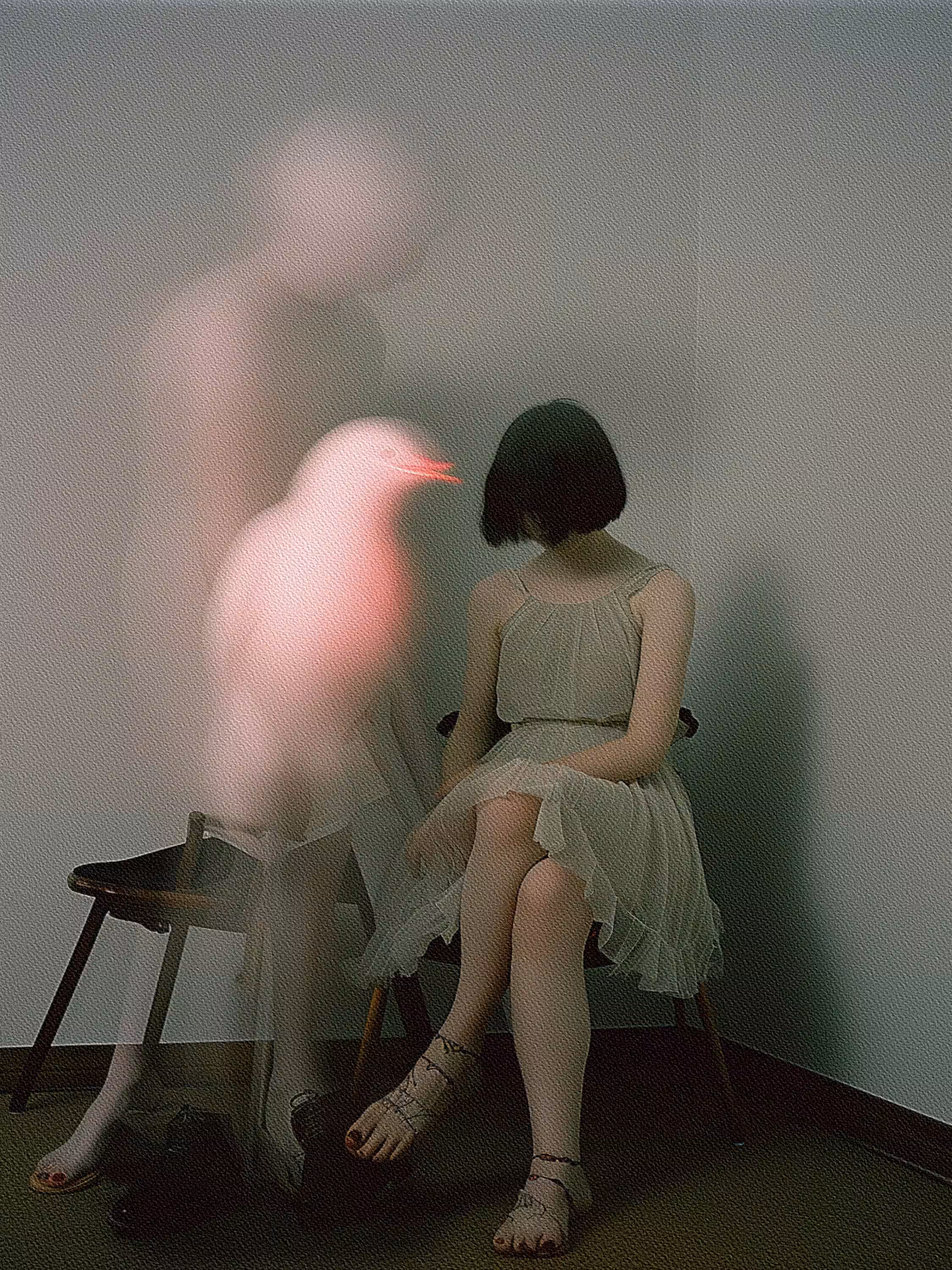 Post Photographic Perspectives: Taming the Machine: Olga Fedorova - Untitled #78