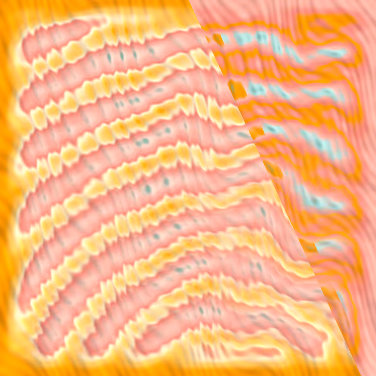 Newer Wave #27