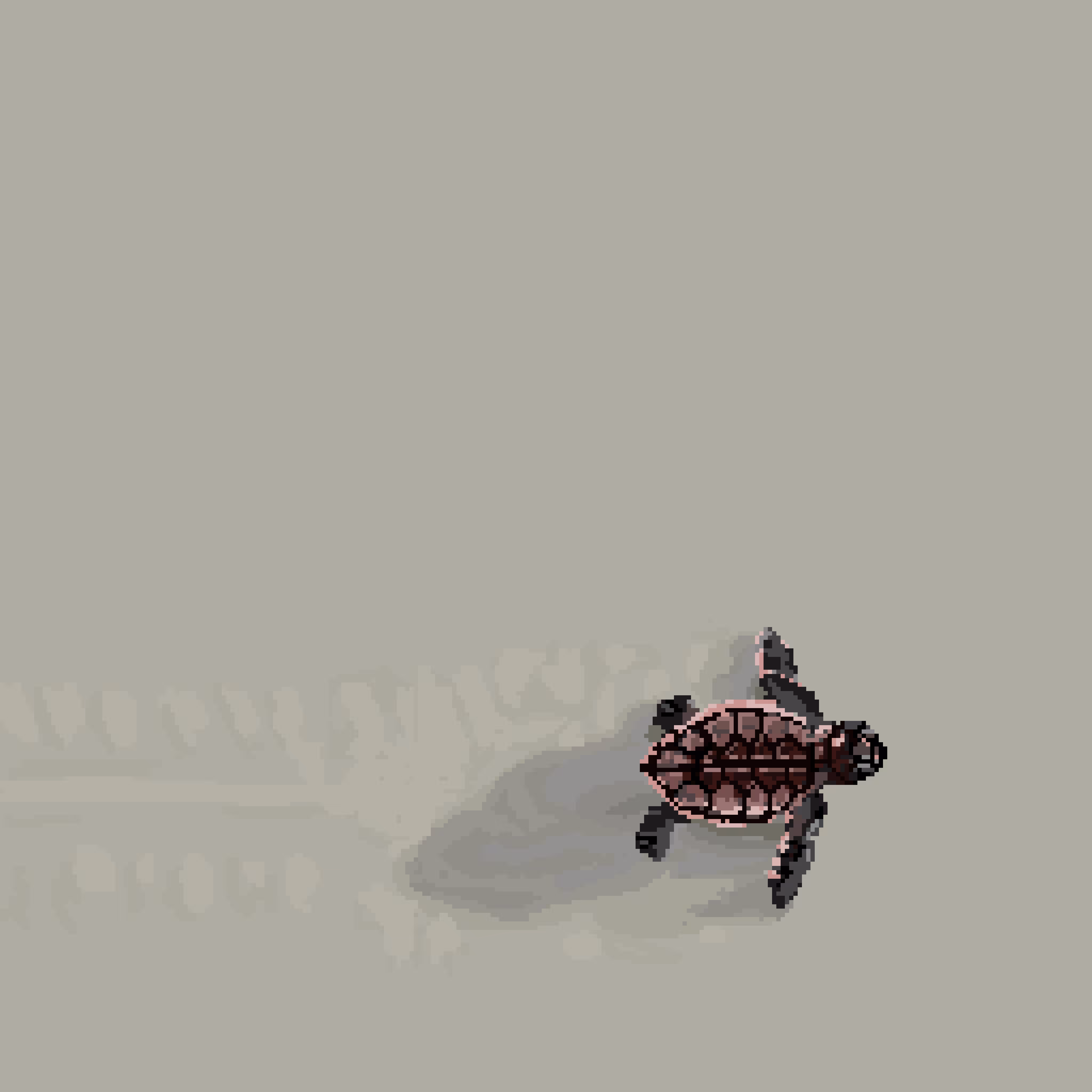 First Steps to the Ocean