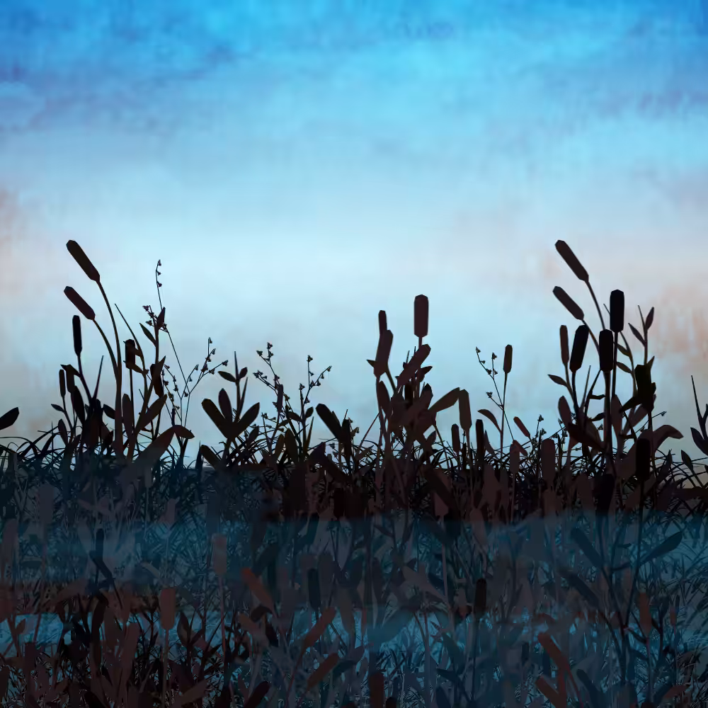 Walk in the field #17