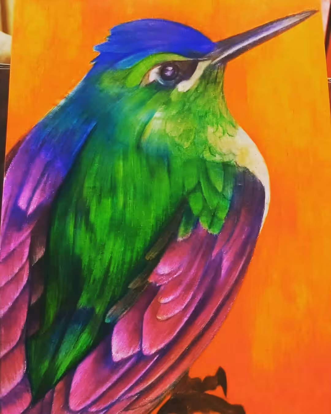 Colibrí 