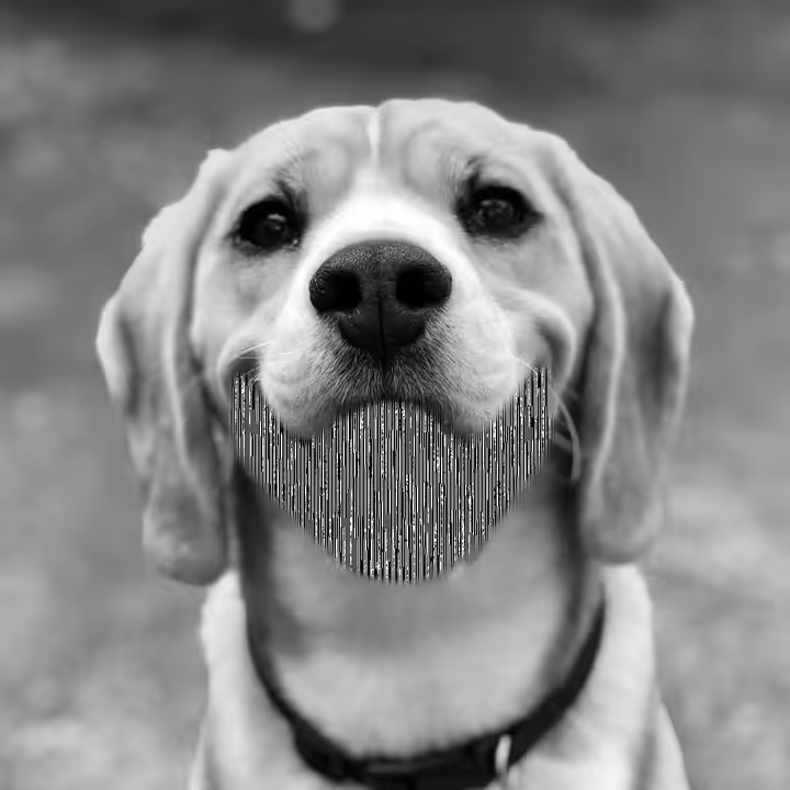 Dogwhistle