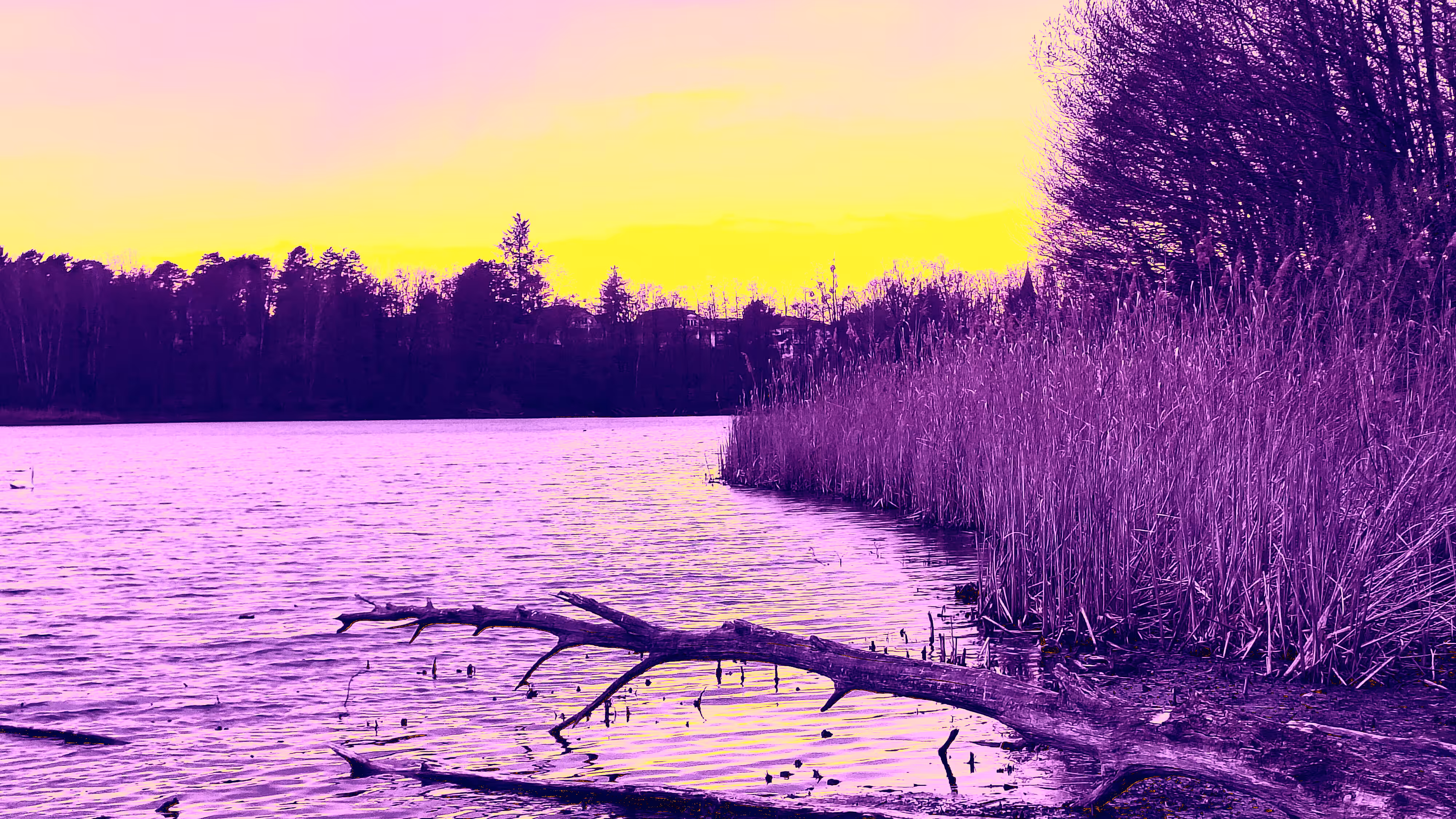 Sun sinking