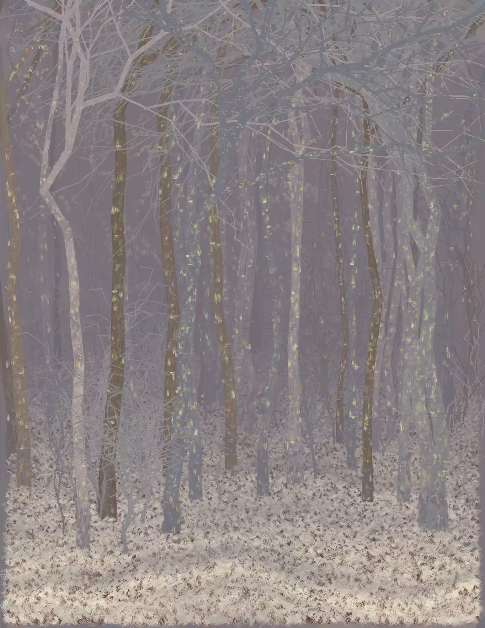Deep Forest #175