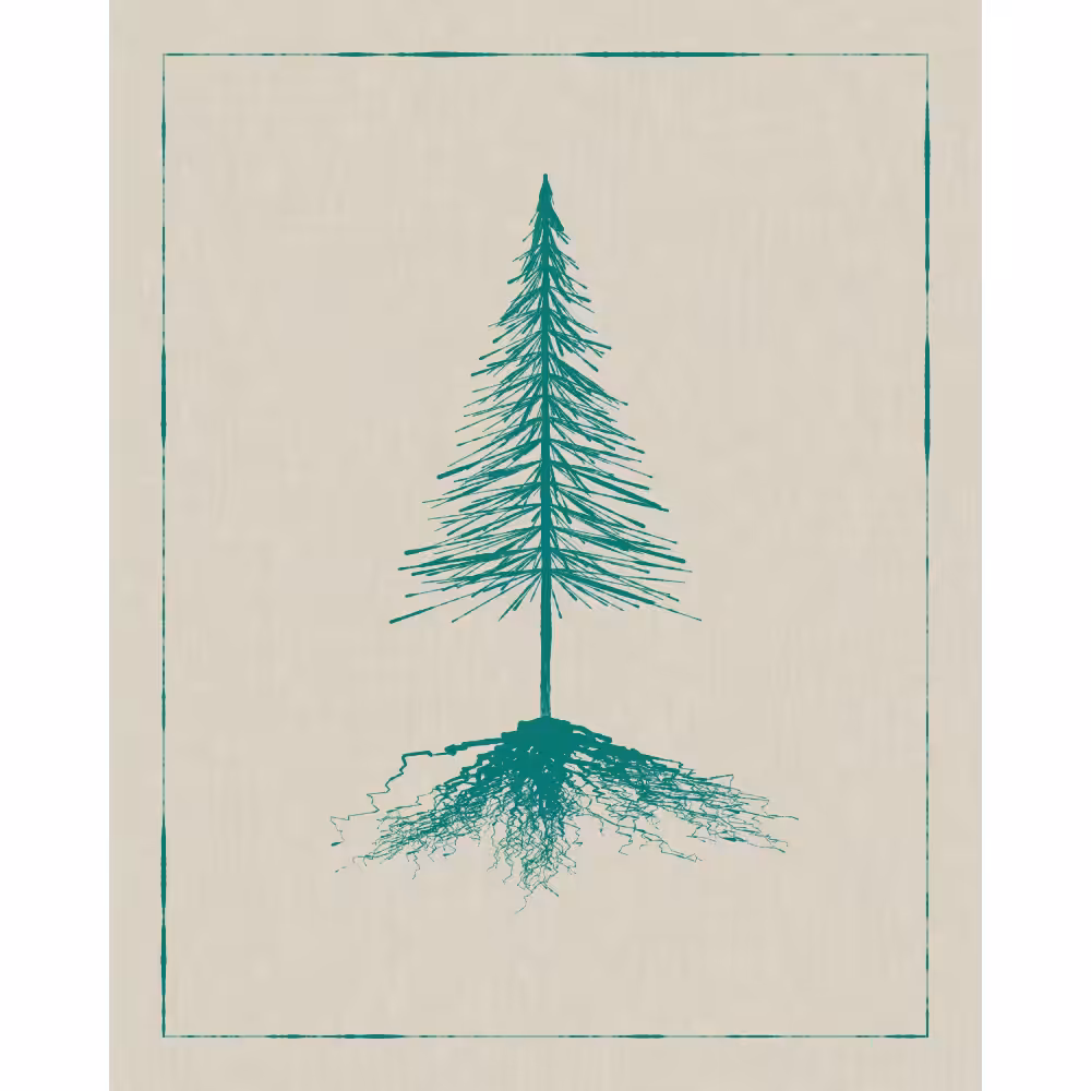 Roots #50