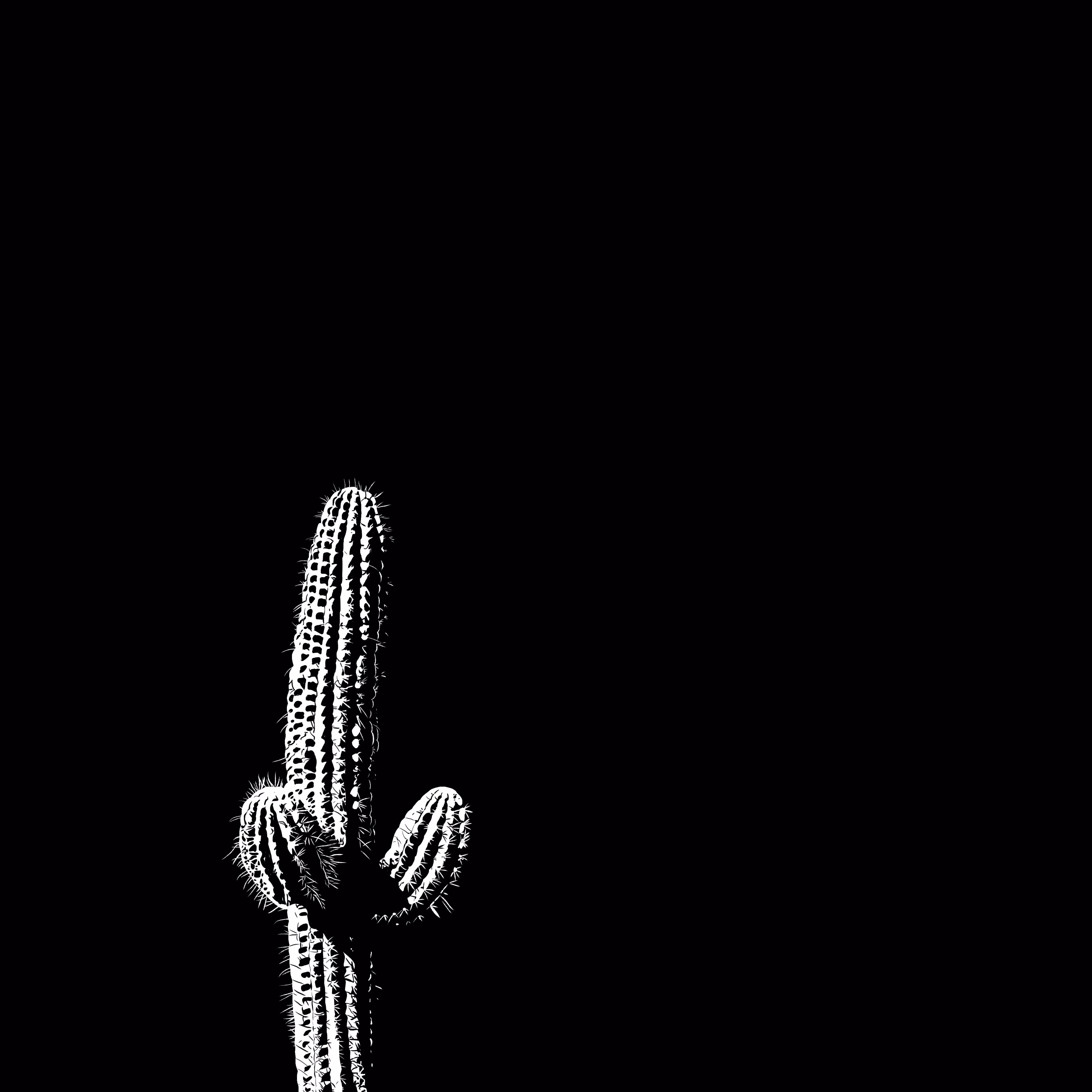The desert