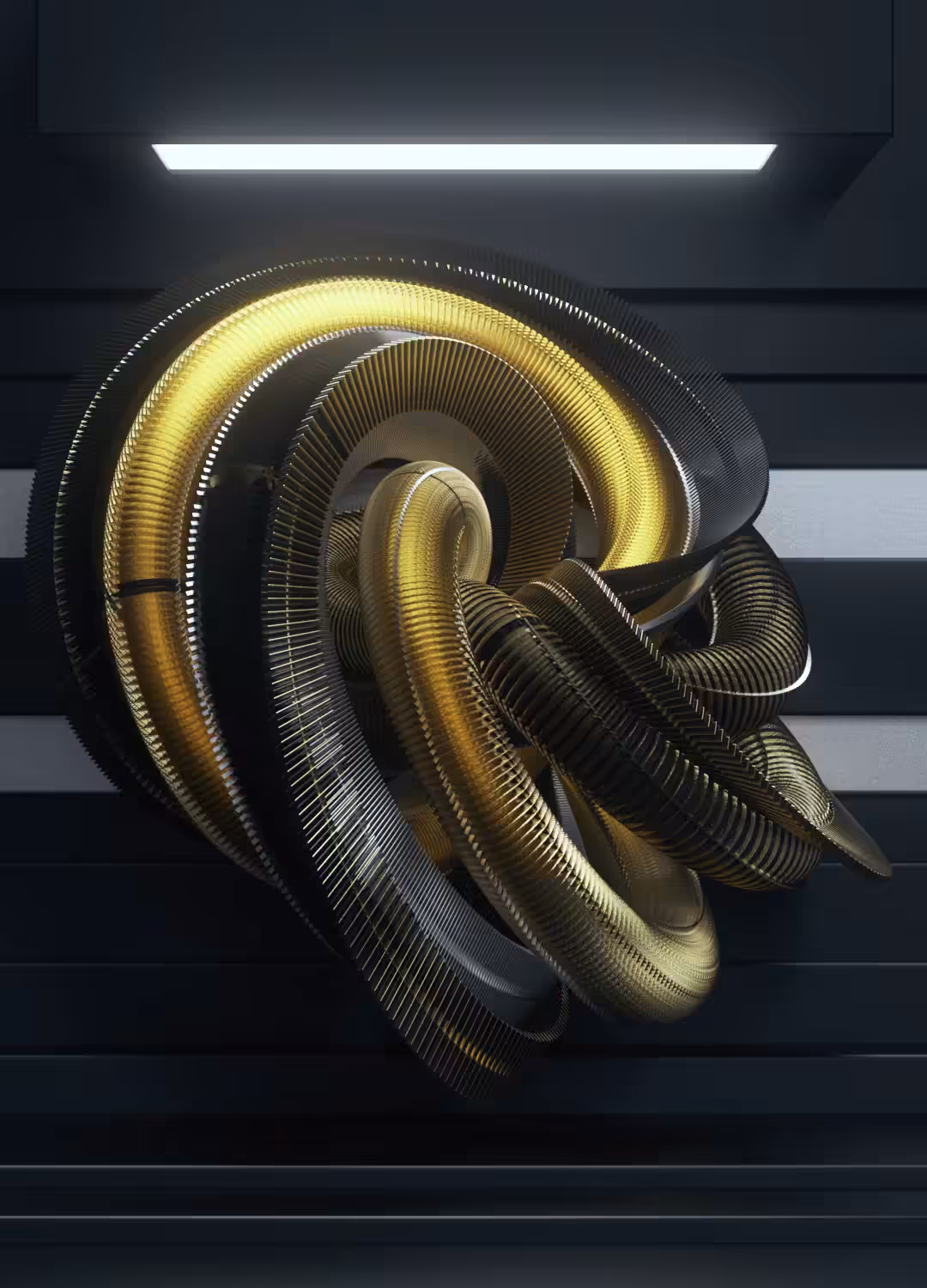 GOLD·N·BLACK SNAKE