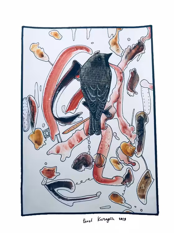  City bird 