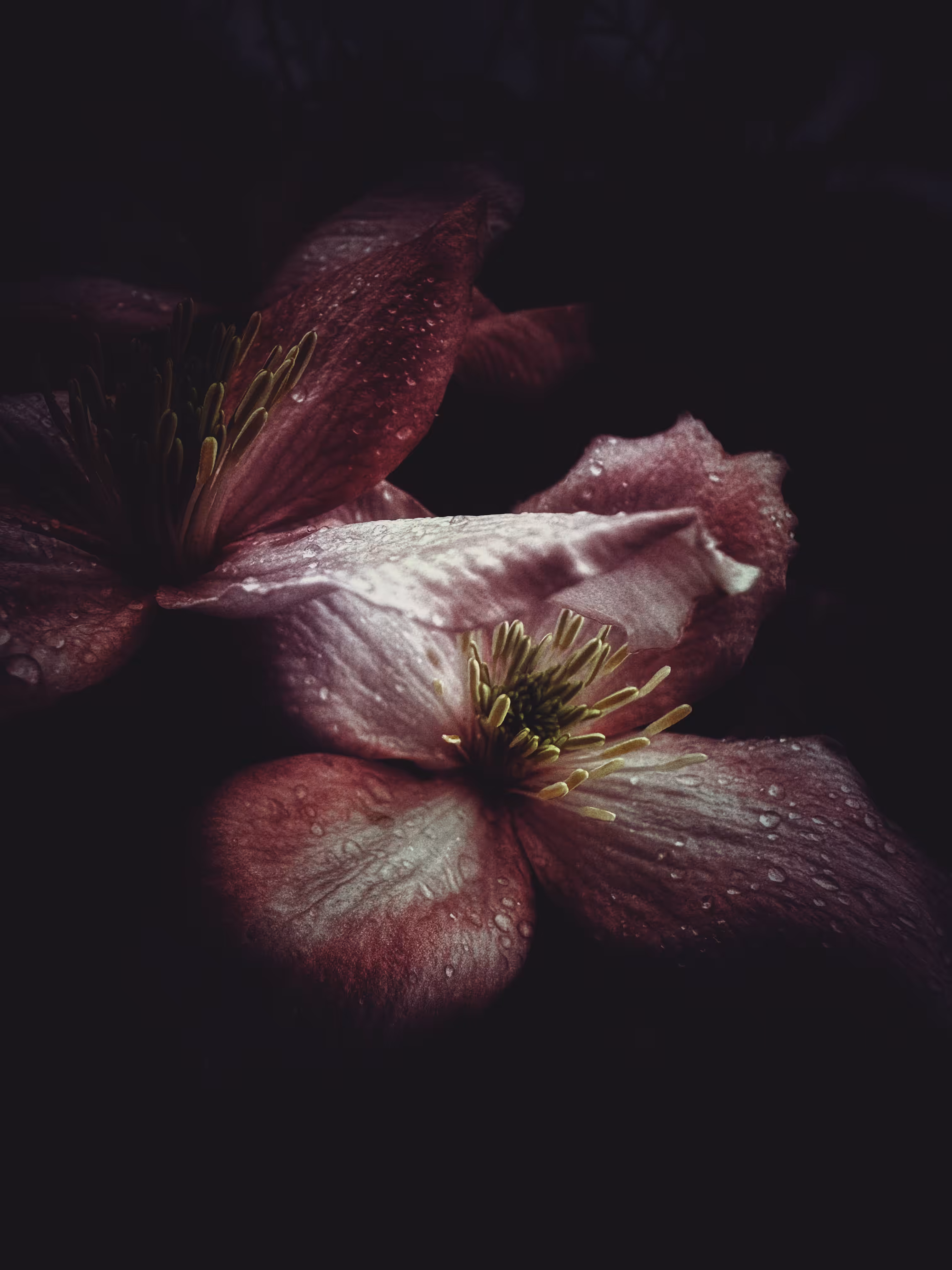 Dark Glory