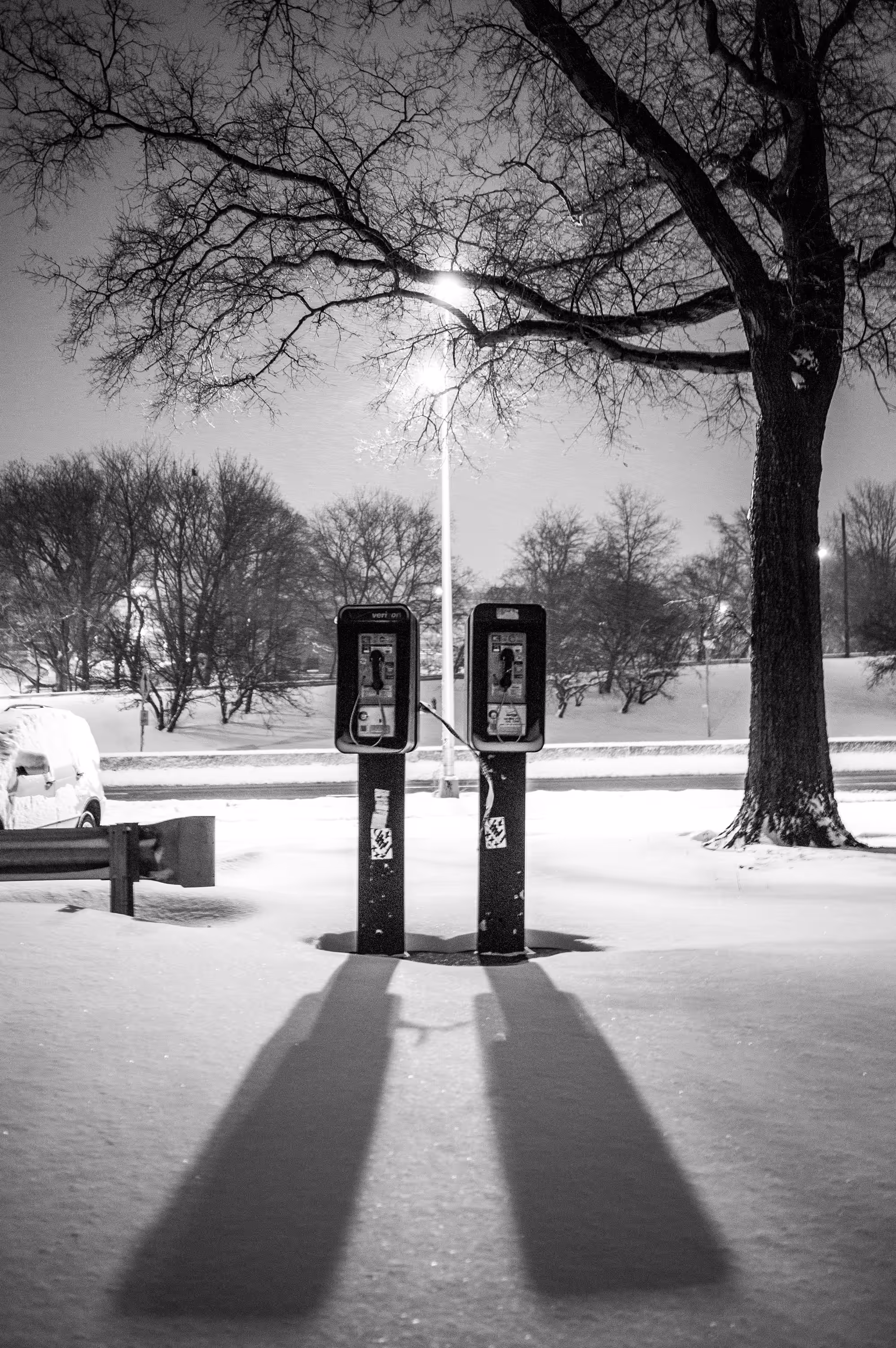 NYCSS - Still Lives