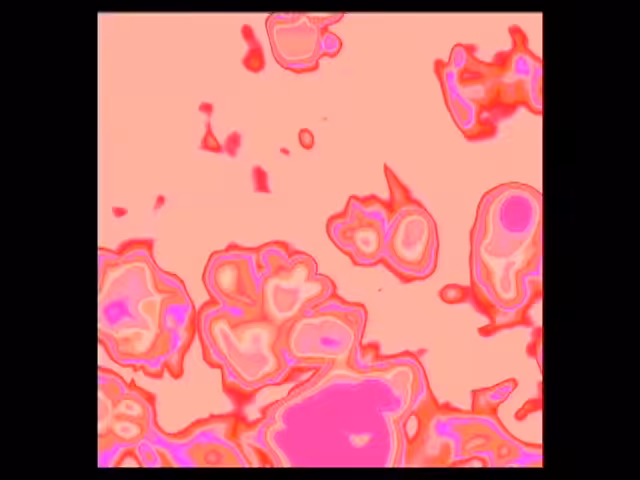Magma