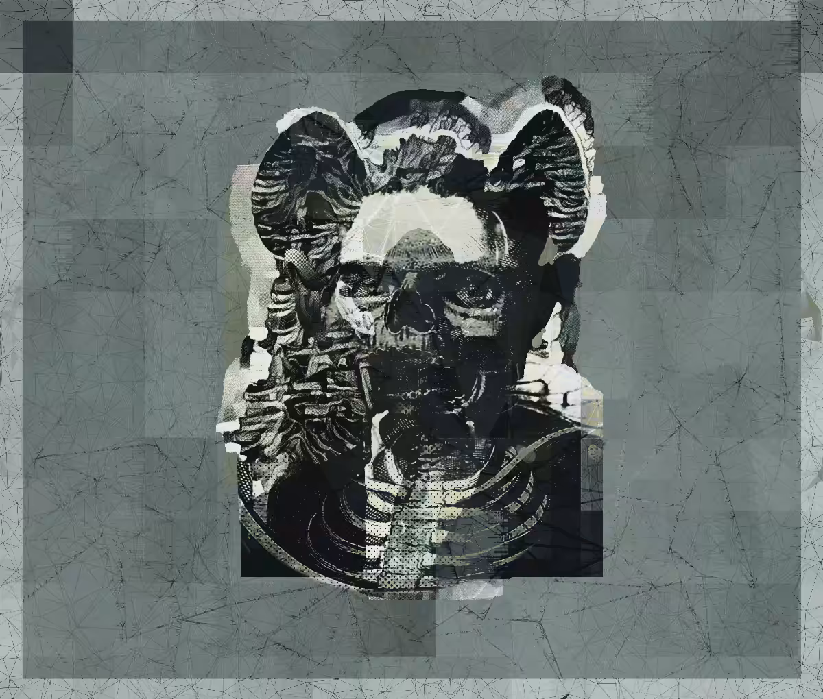 X§§§§X