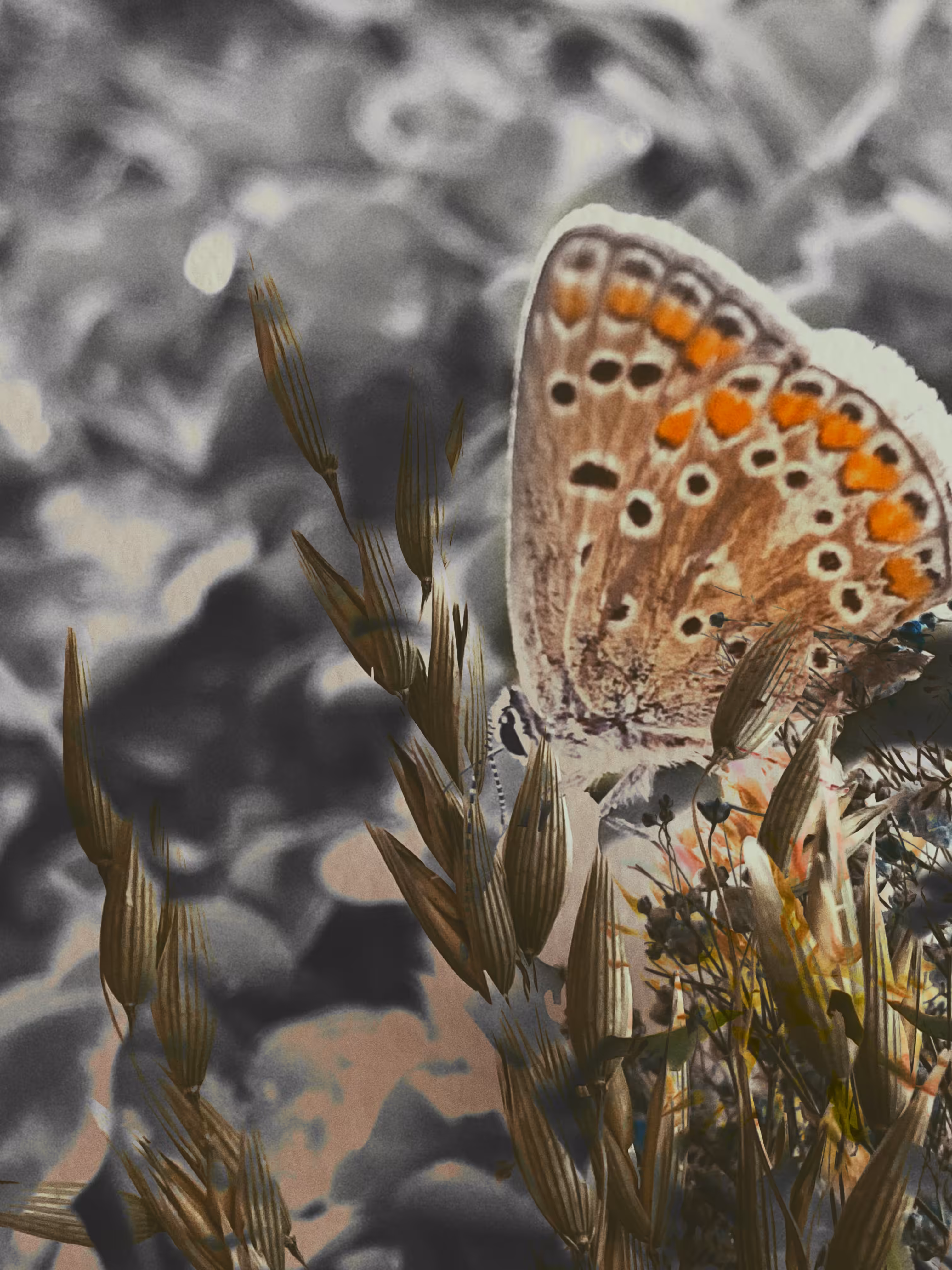 Whispers of Spring