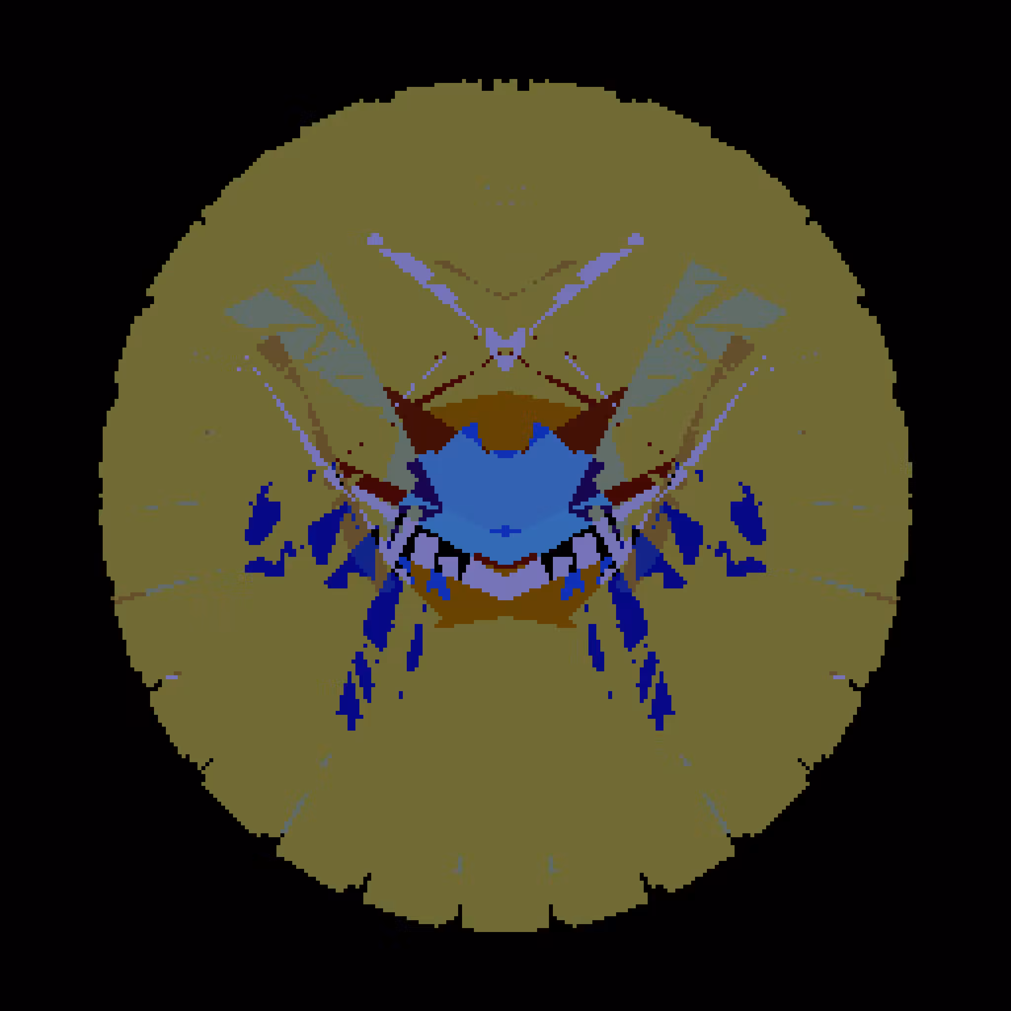 Ideocartography: Planar Slicing Experiment #60