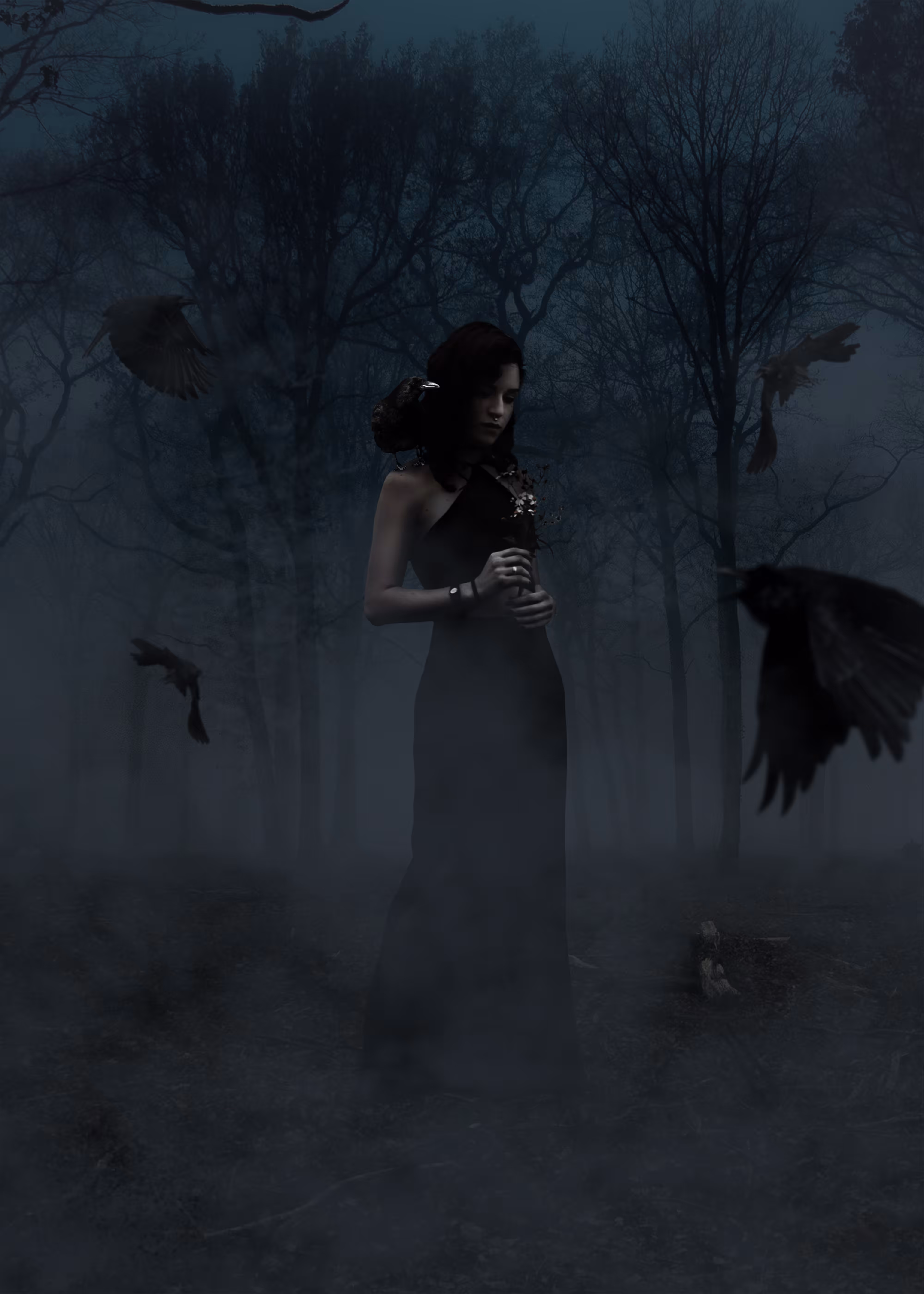 The Raven Lady