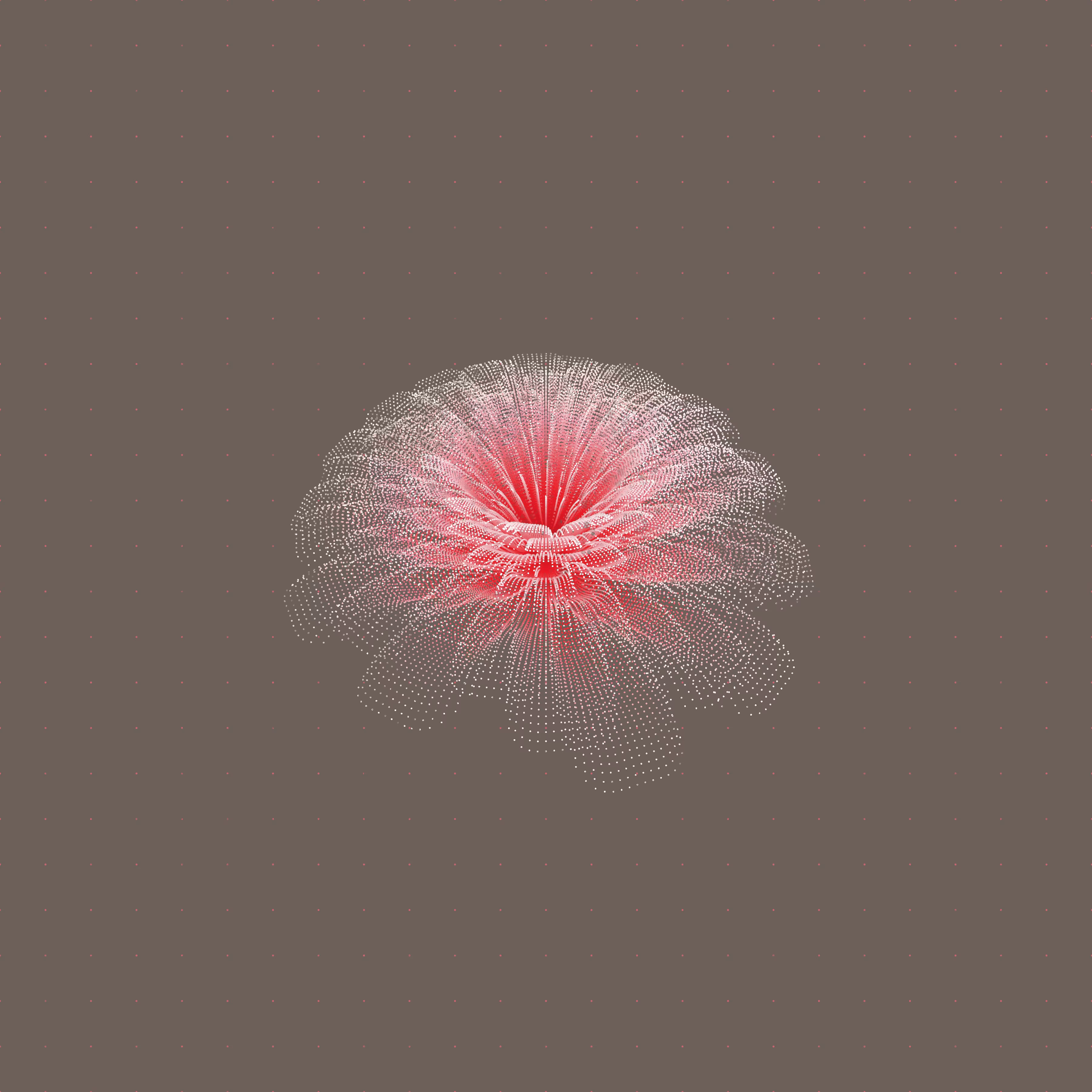 Flower Study #2
