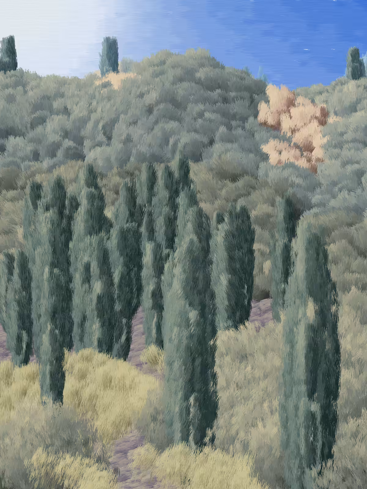 Provence #131