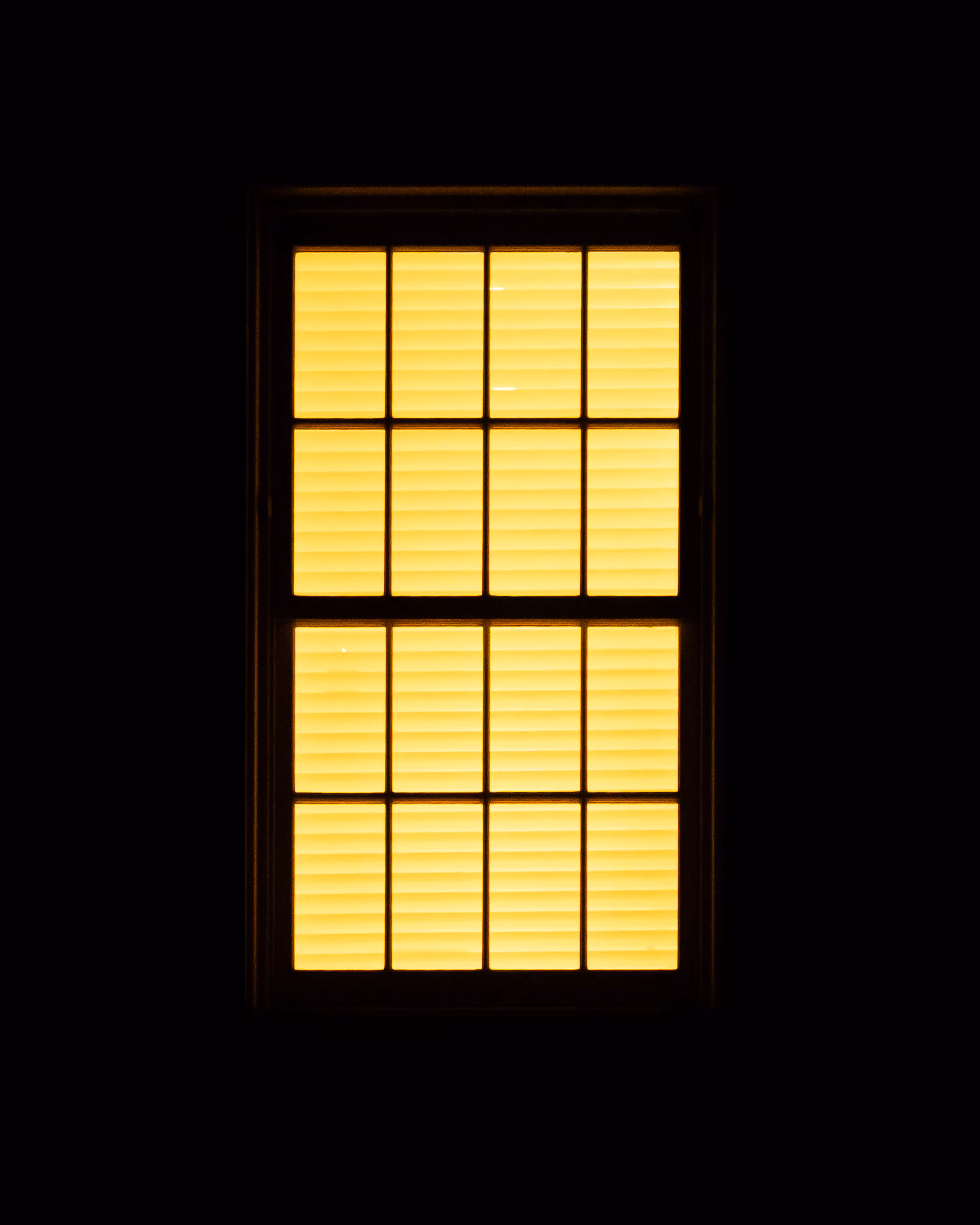 WINDOW 994