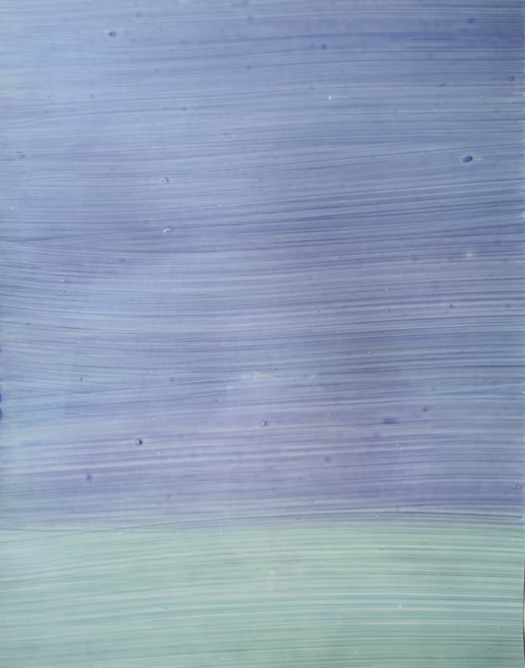 SILENT LIFE IN FUTURE HOMES IX/X