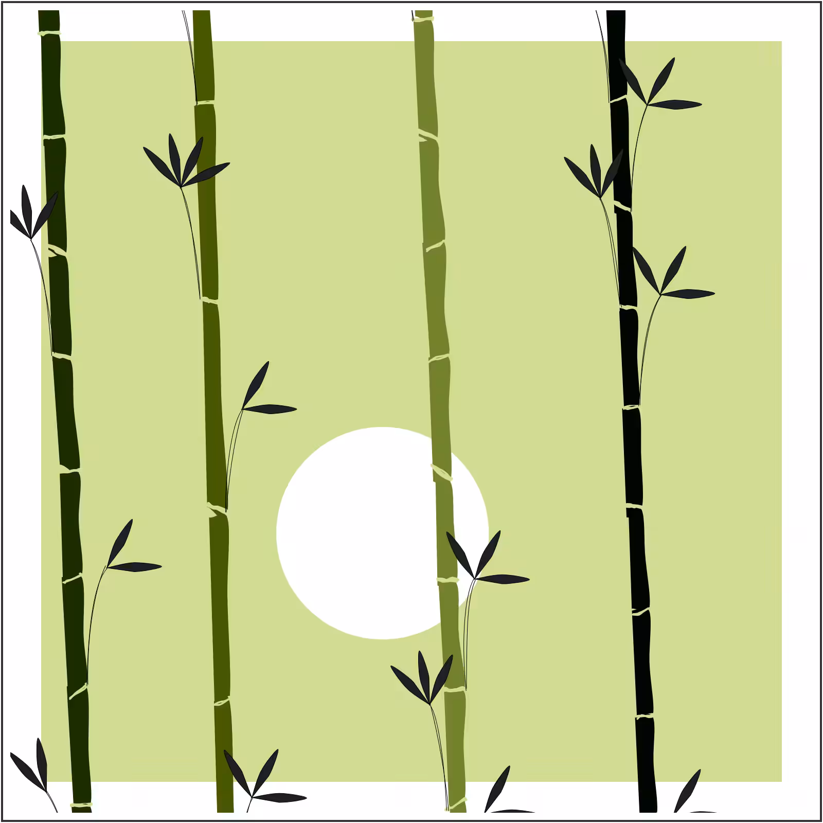 Bamboo and Beyond #24