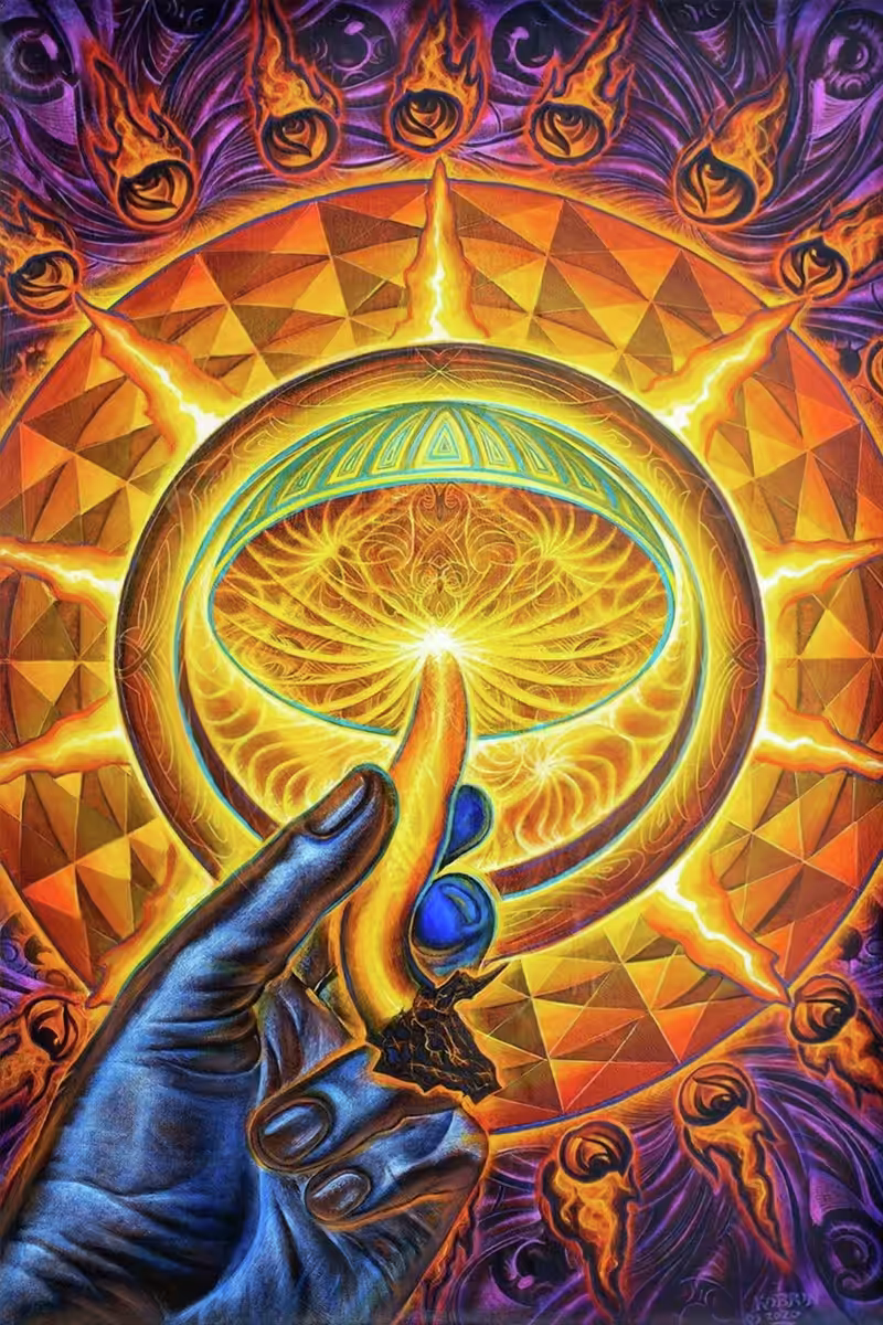 InSporeAtion