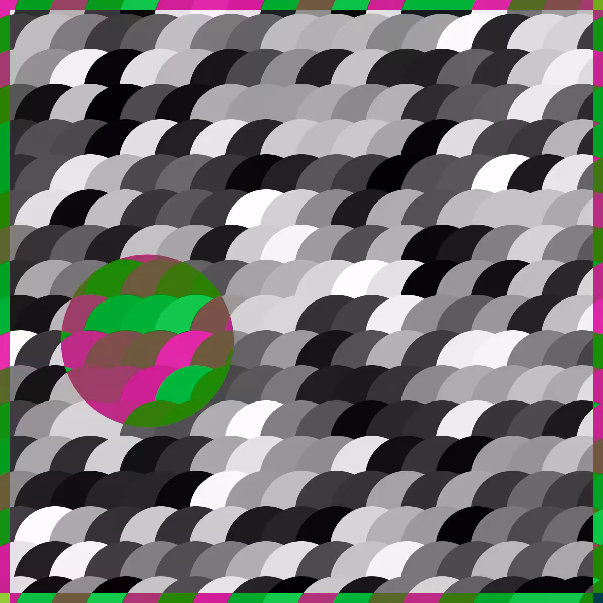 Magnify #49