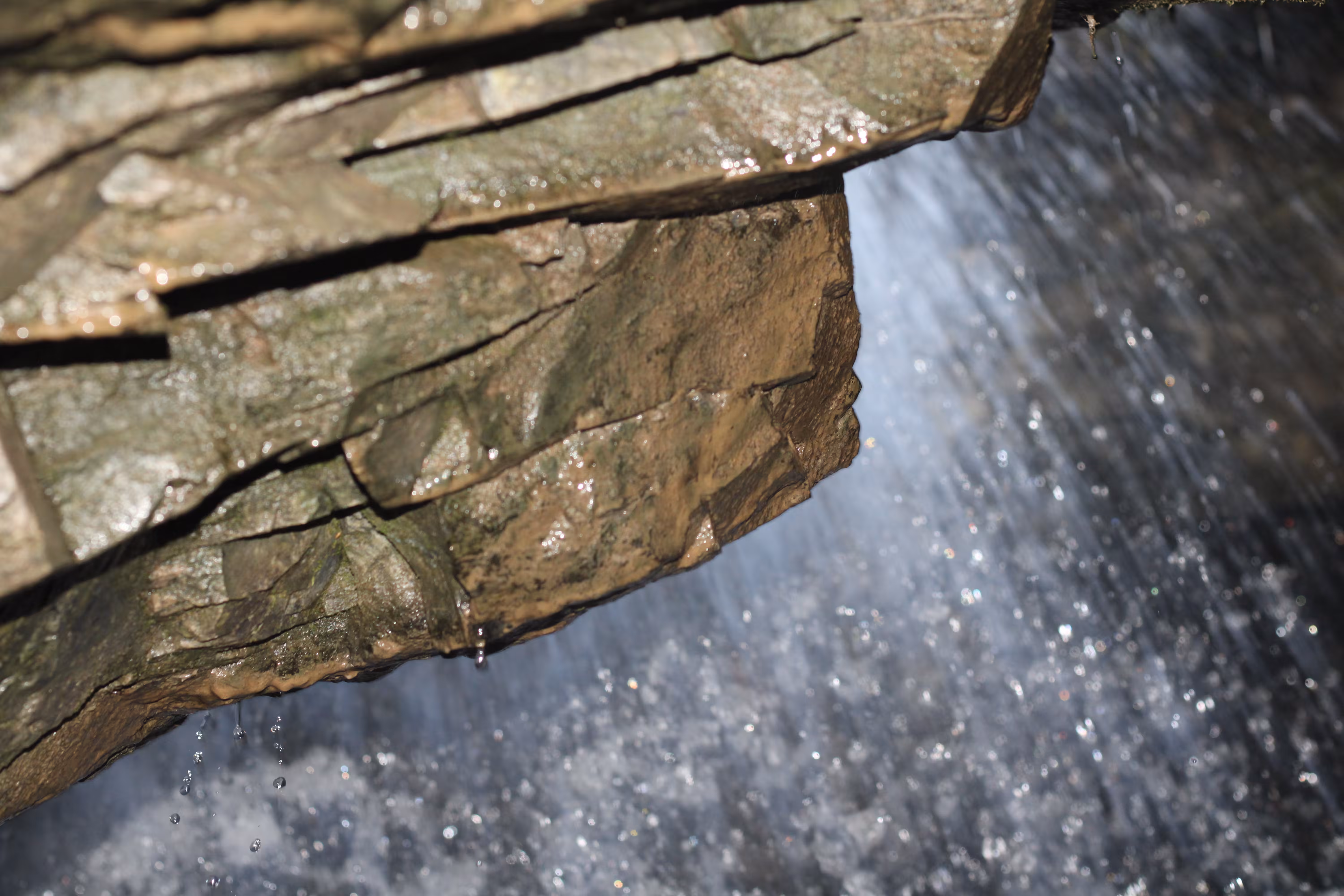 Lazy Nature Season 01 Episode 003 Thumbnail 05