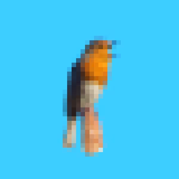 PixlBird #013