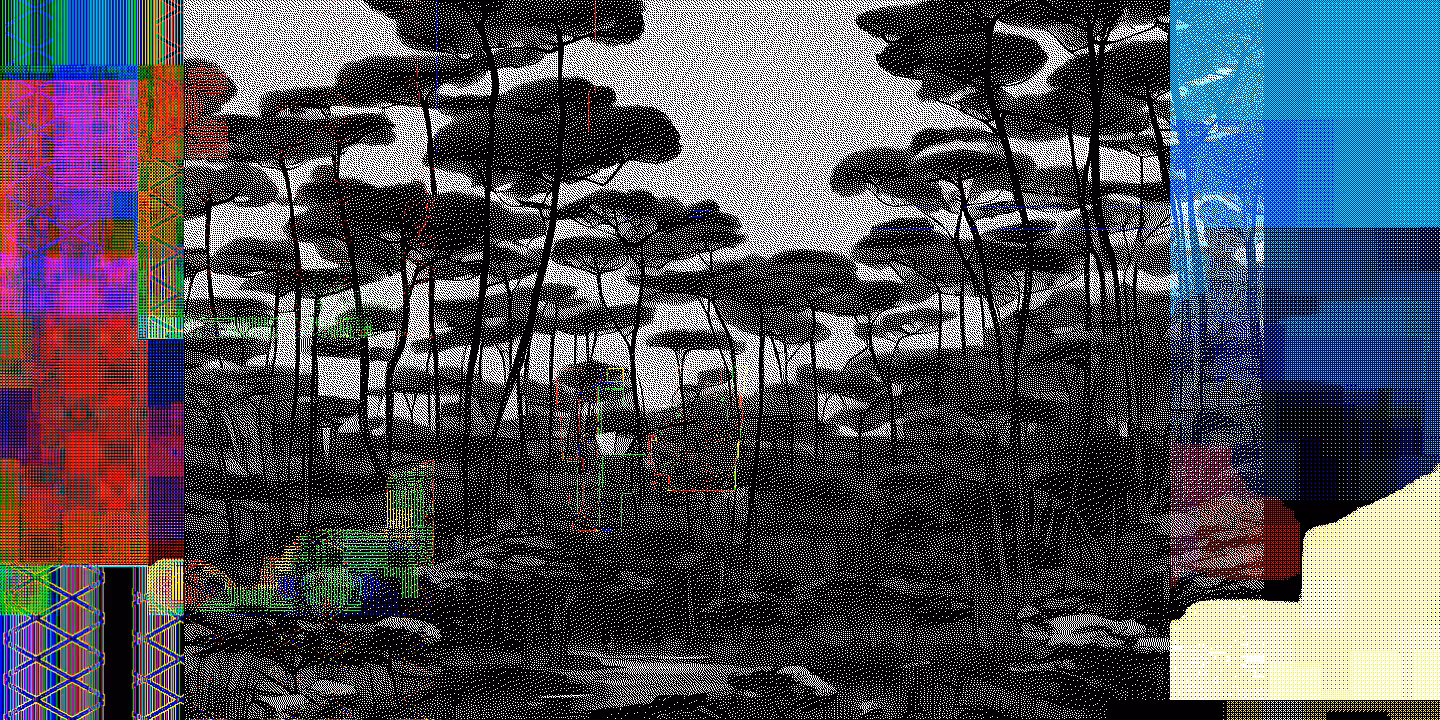 EVERGLADES