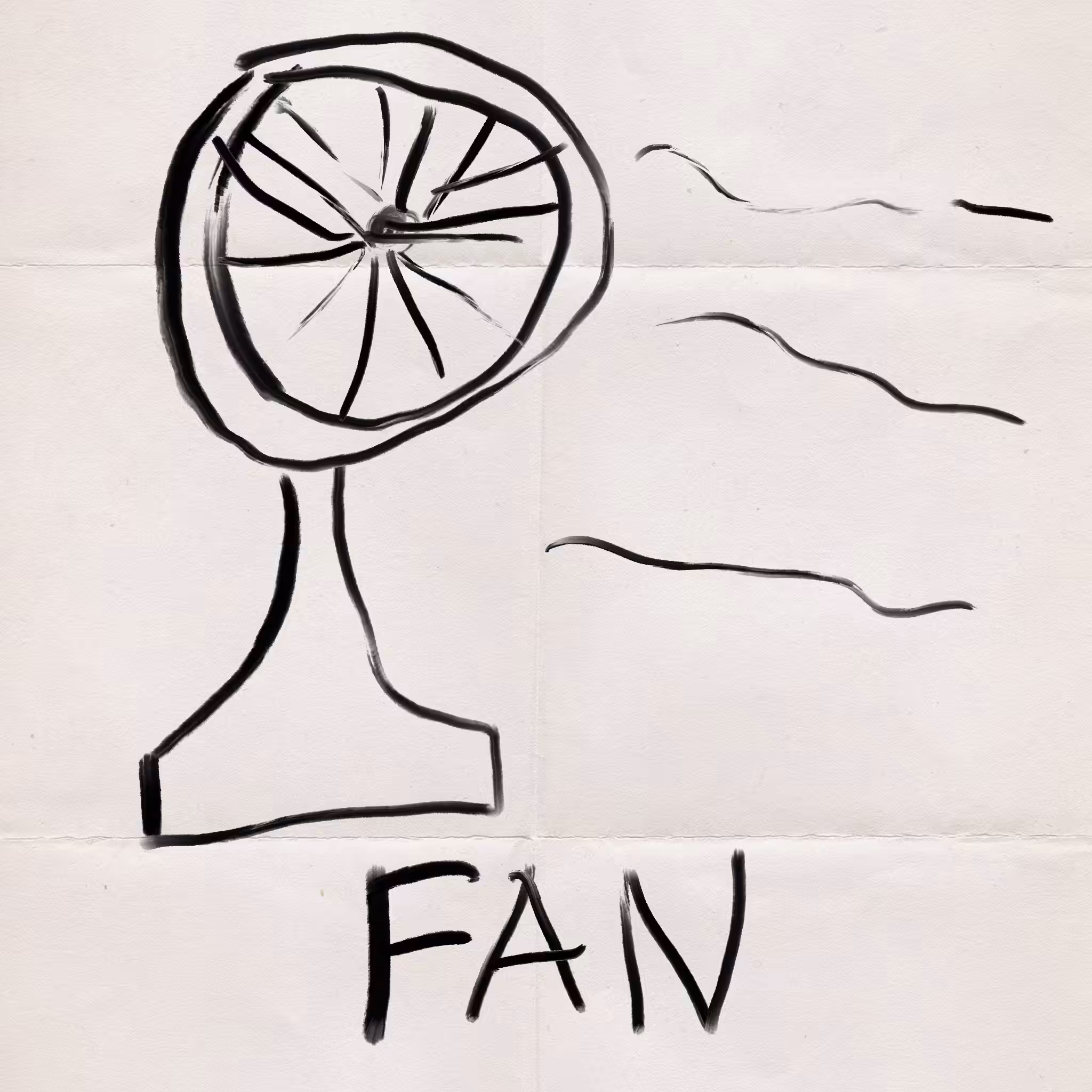 Fan