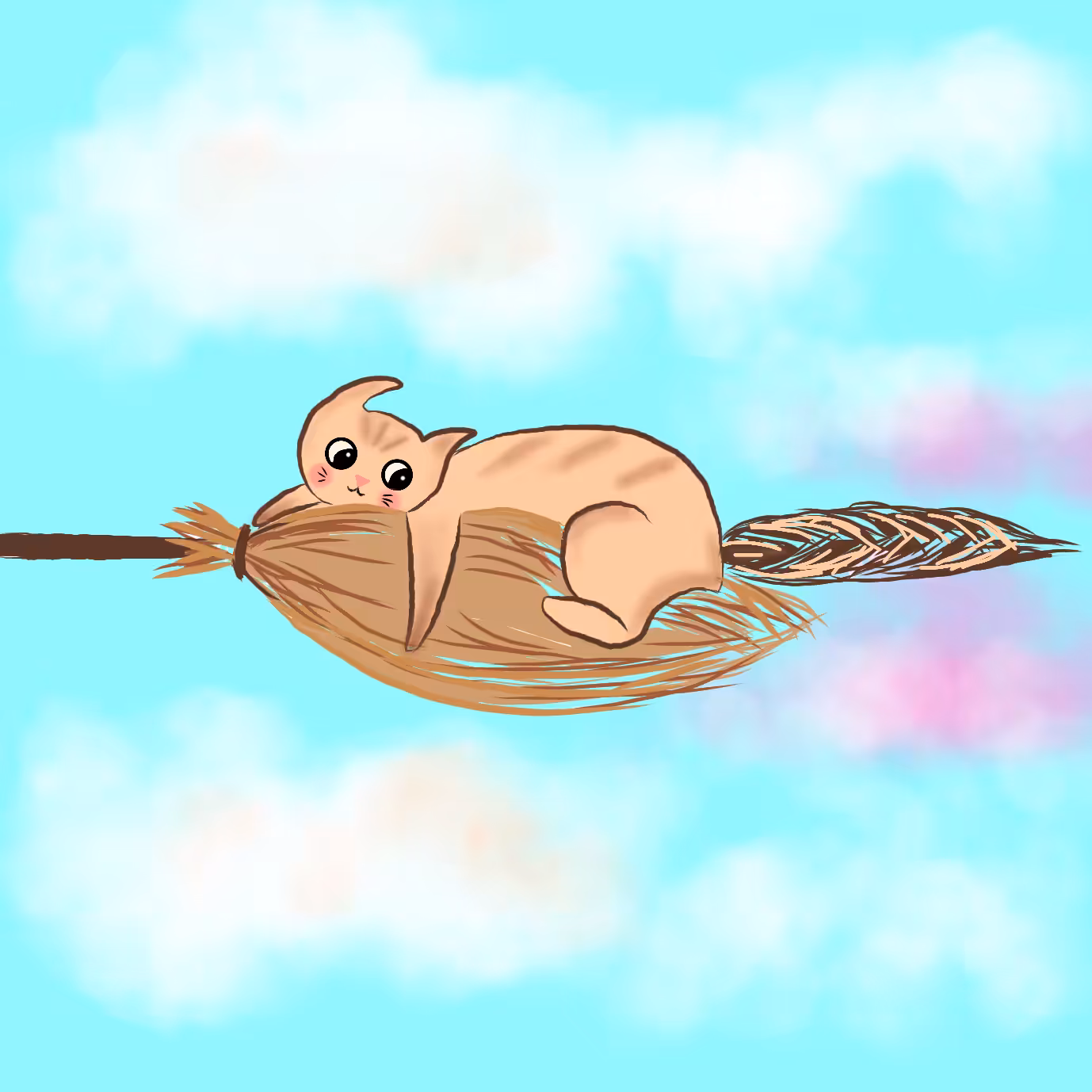 Kitty on the broom