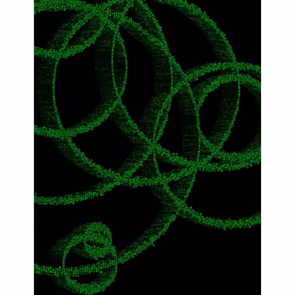 Rings #3
