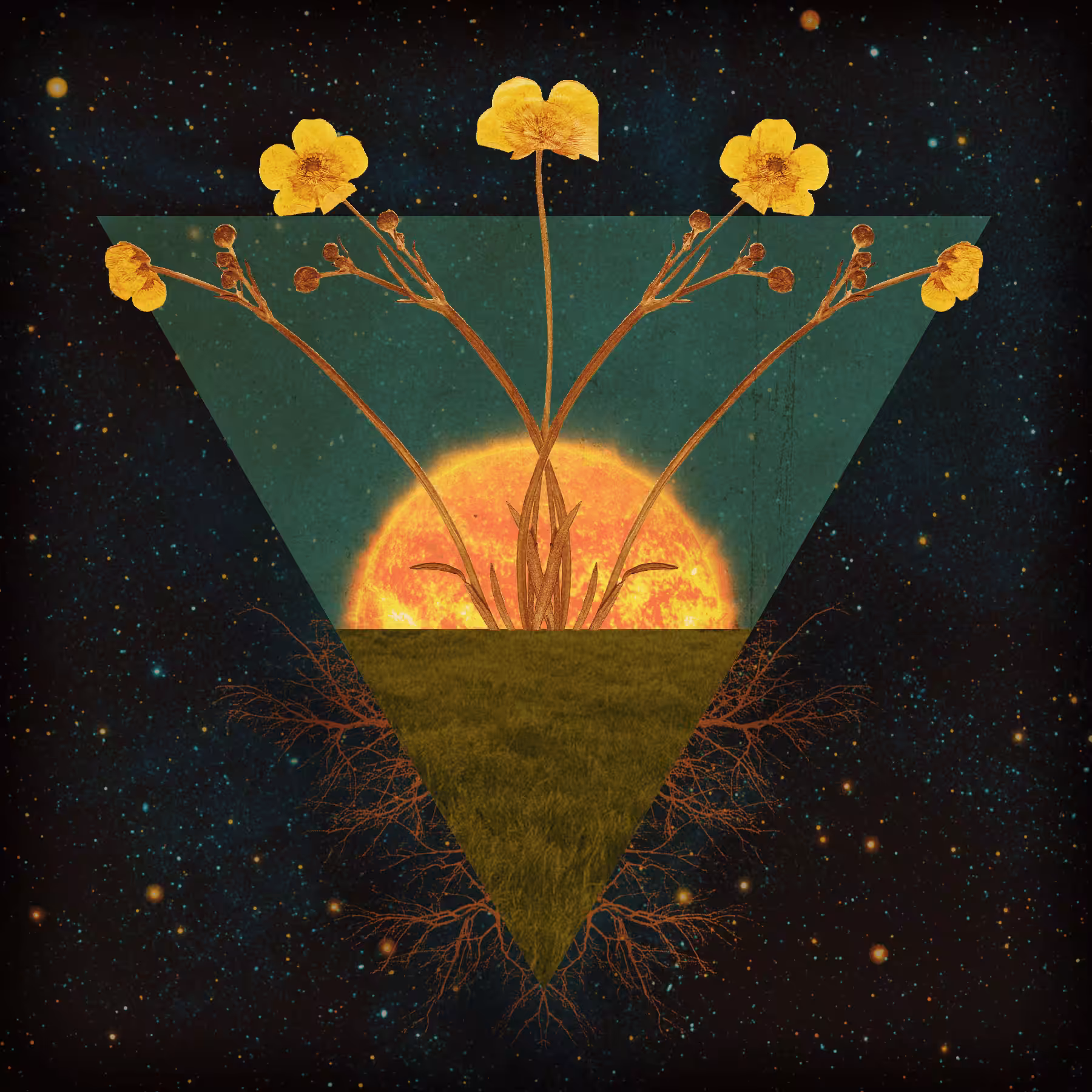 Blooming
