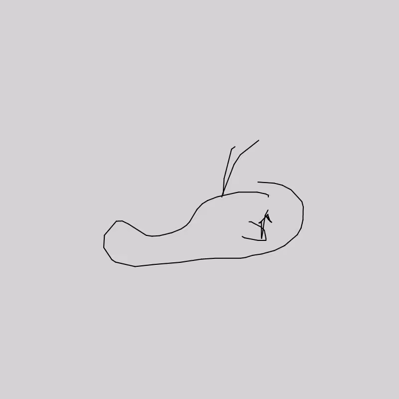 NeuralWhale #13