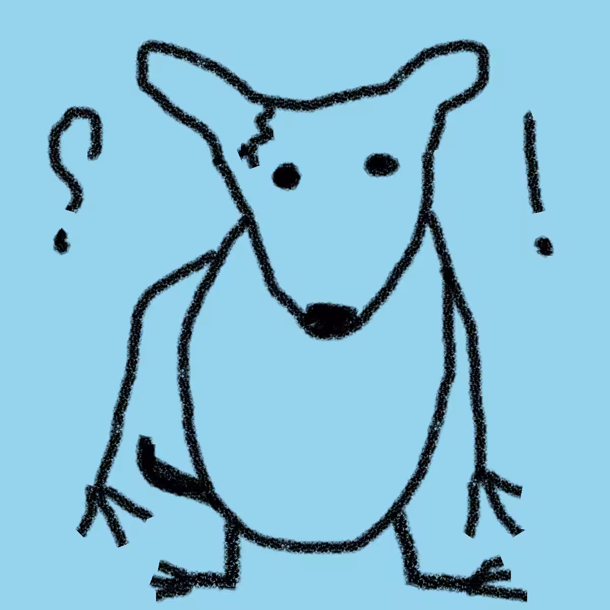 Dogs