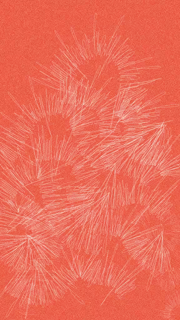 Cosmico 024