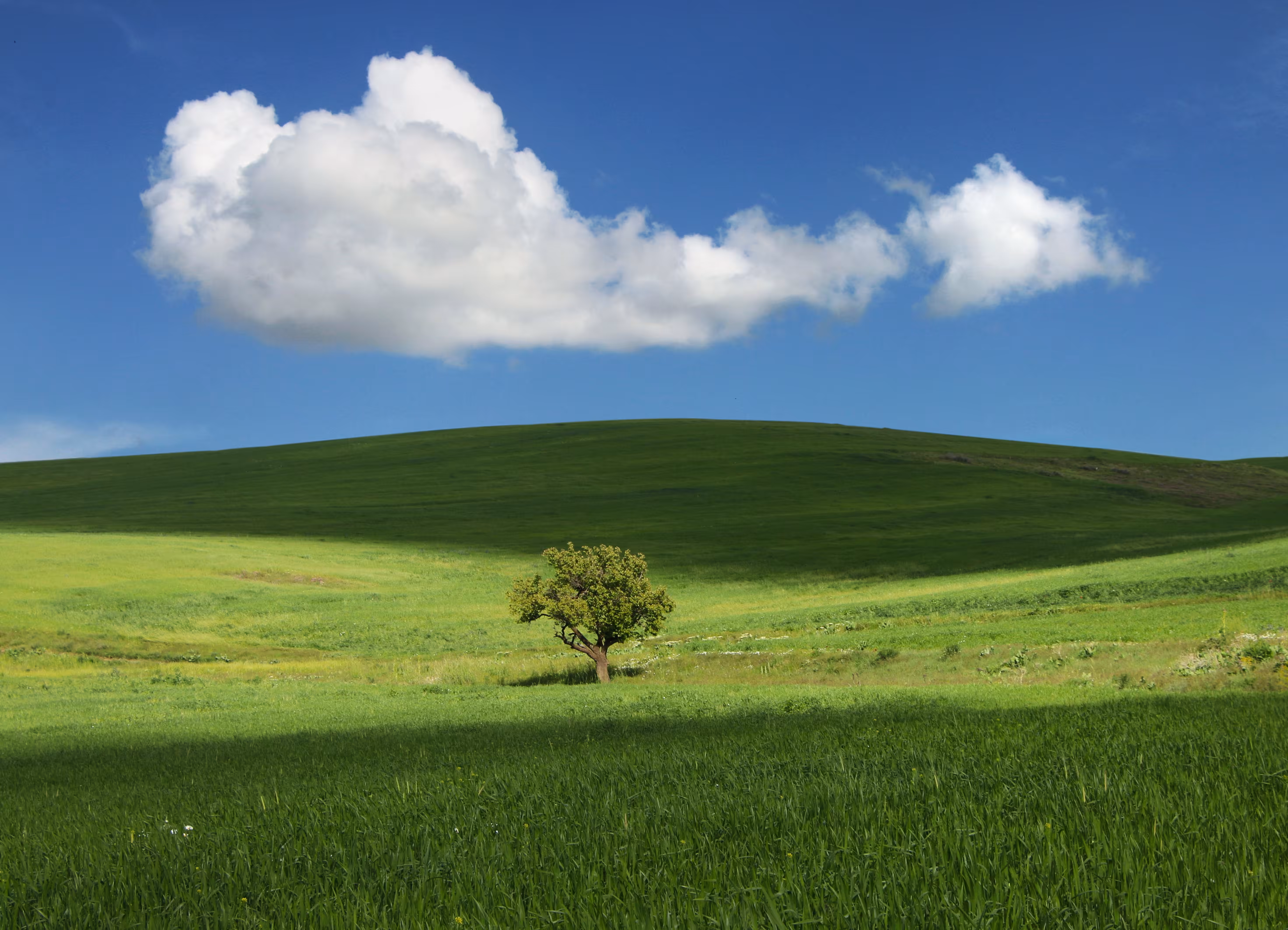 Spring days