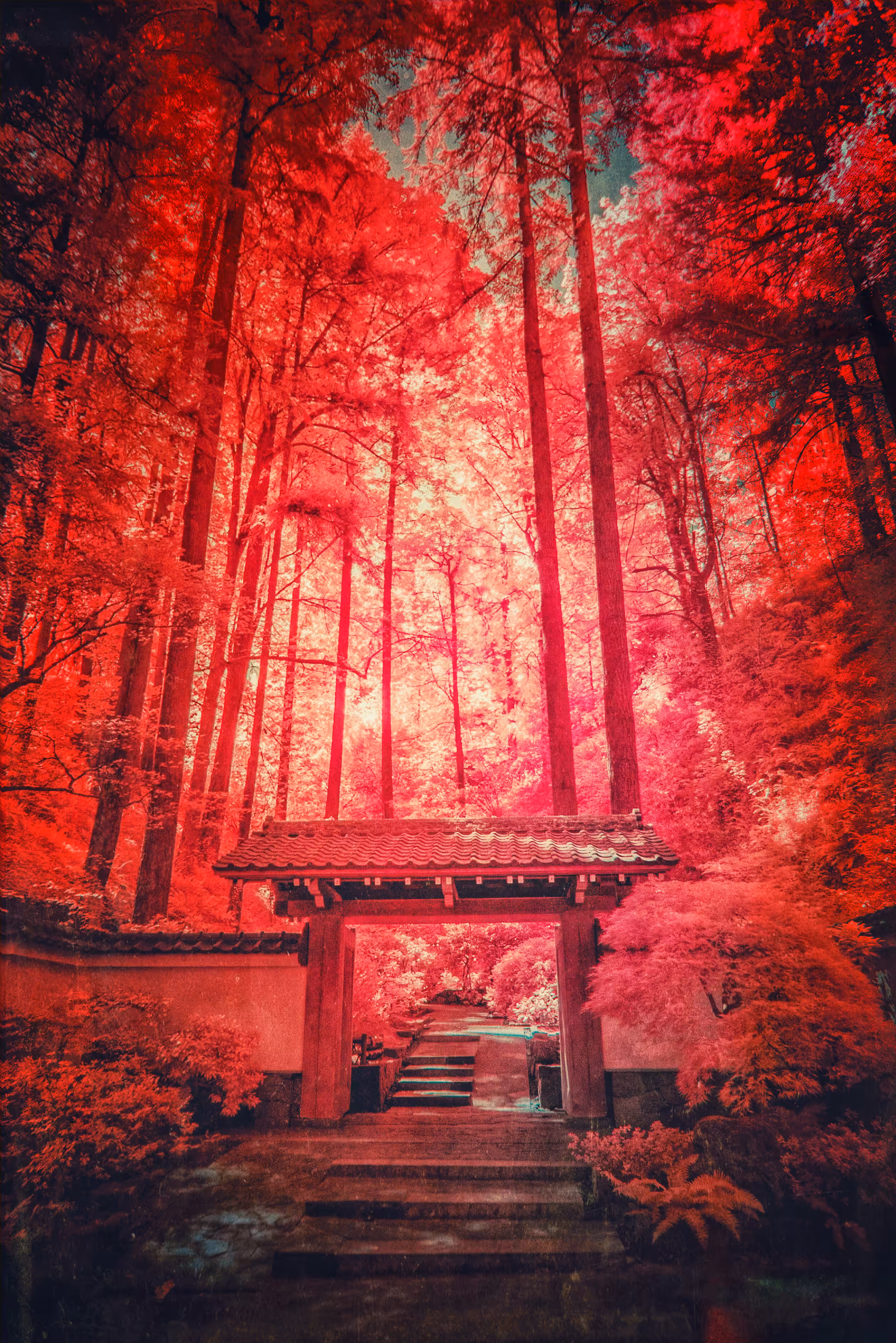 Neon Gate