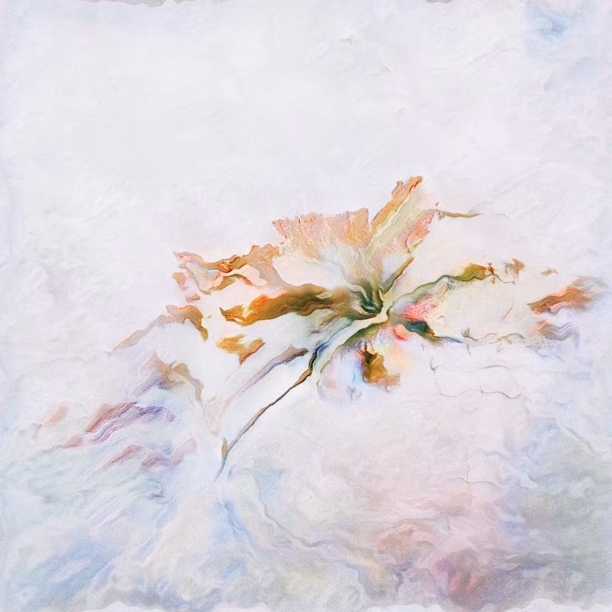 within their white clouds