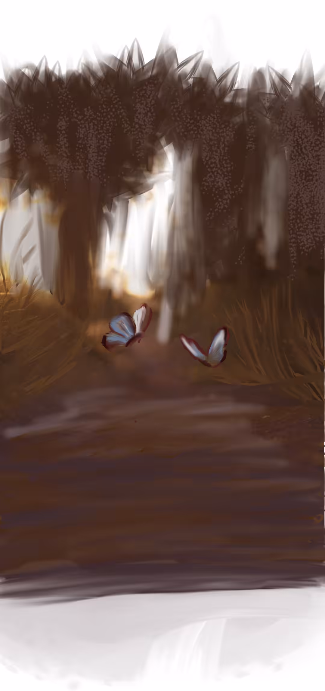  The dance of the butterflies