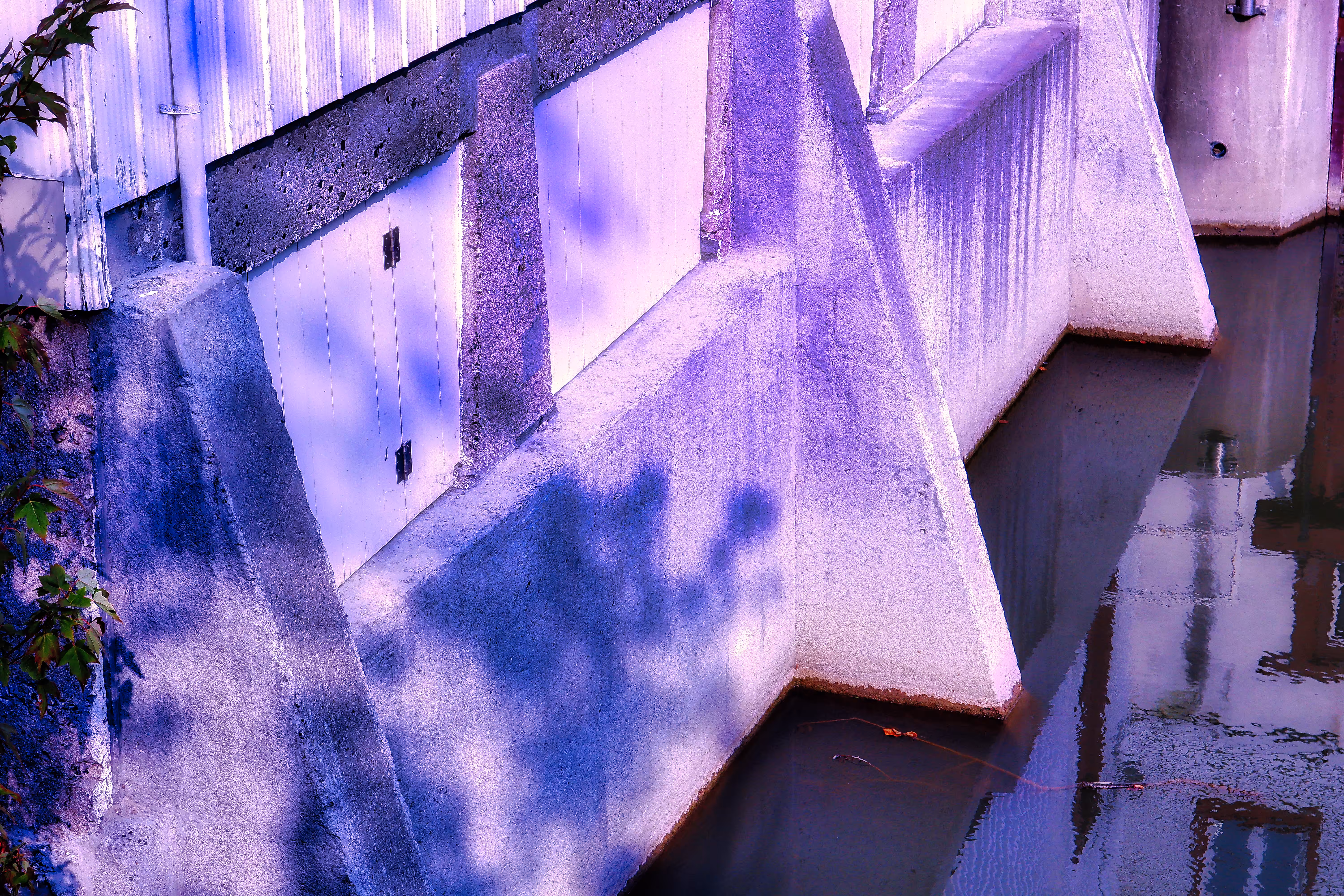 2022: Purple Concrete
